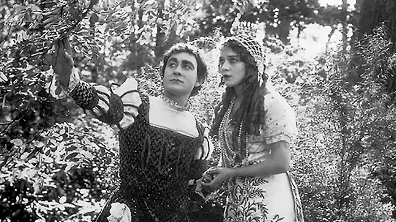 Backdrop for Cinderella