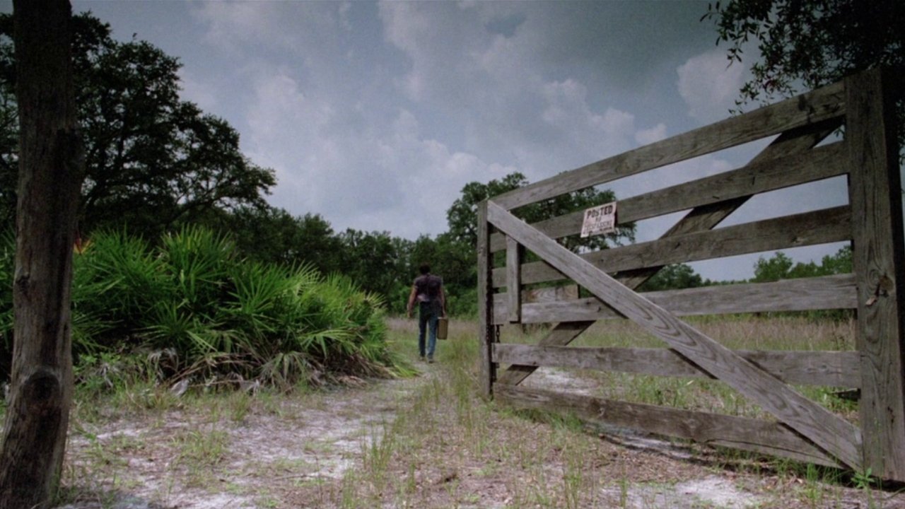 Backdrop for The Enchanted