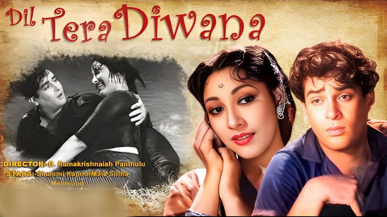 Backdrop for Dil Tera Diwana