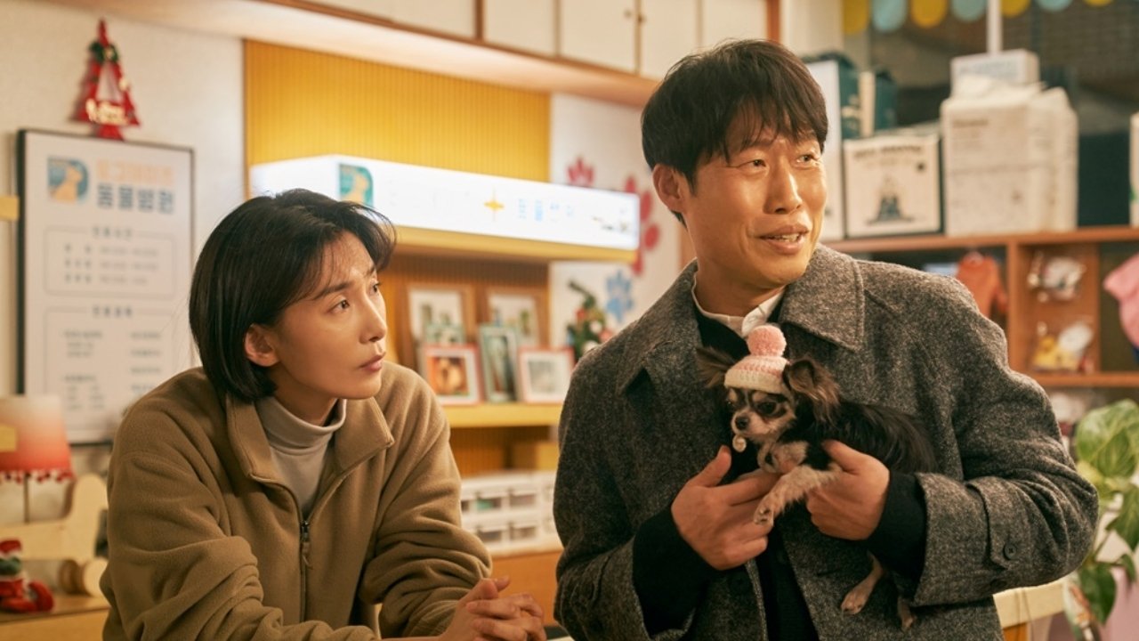 Backdrop for Dog Days