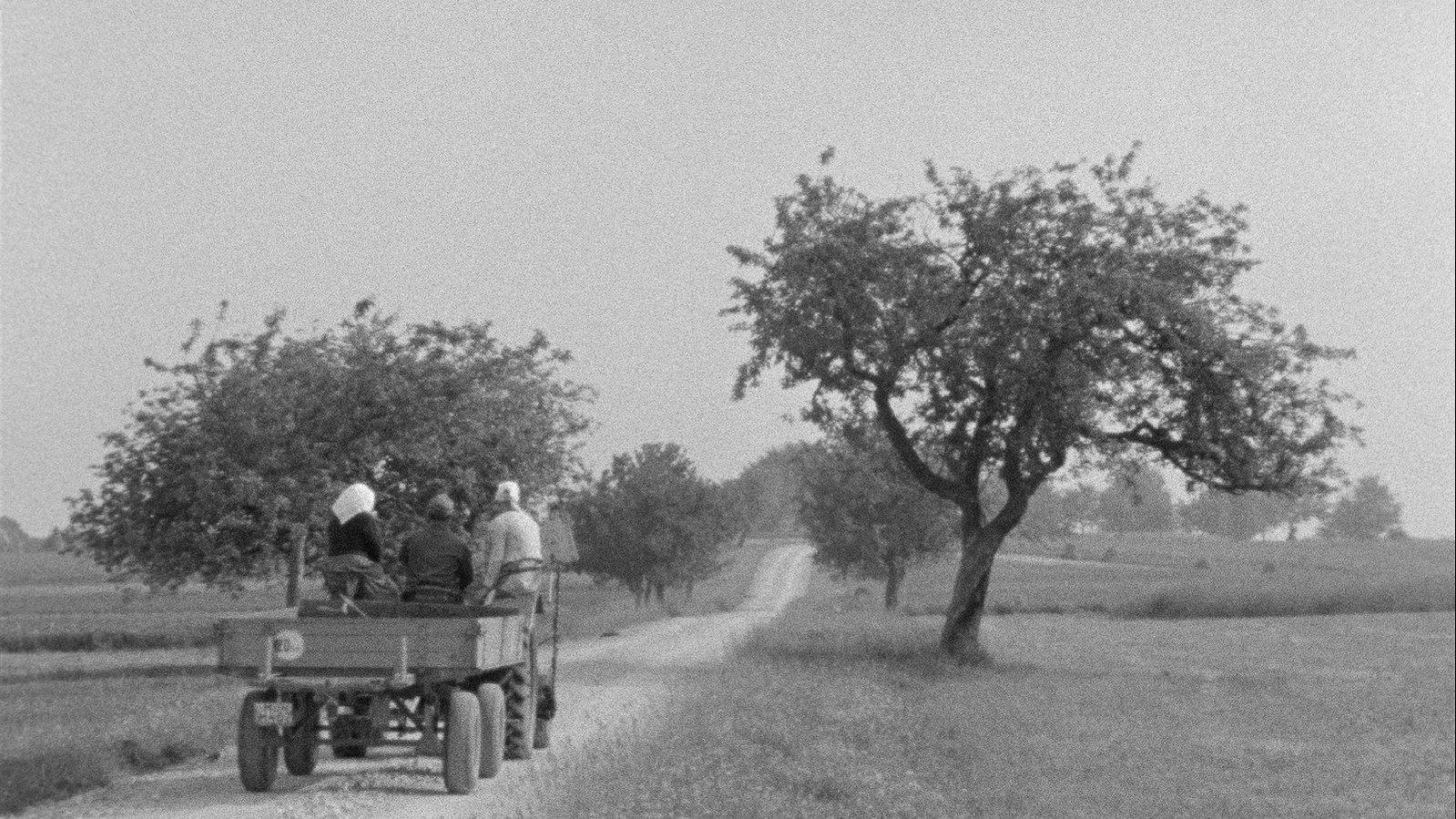 Backdrop for Ödenwaldstetten