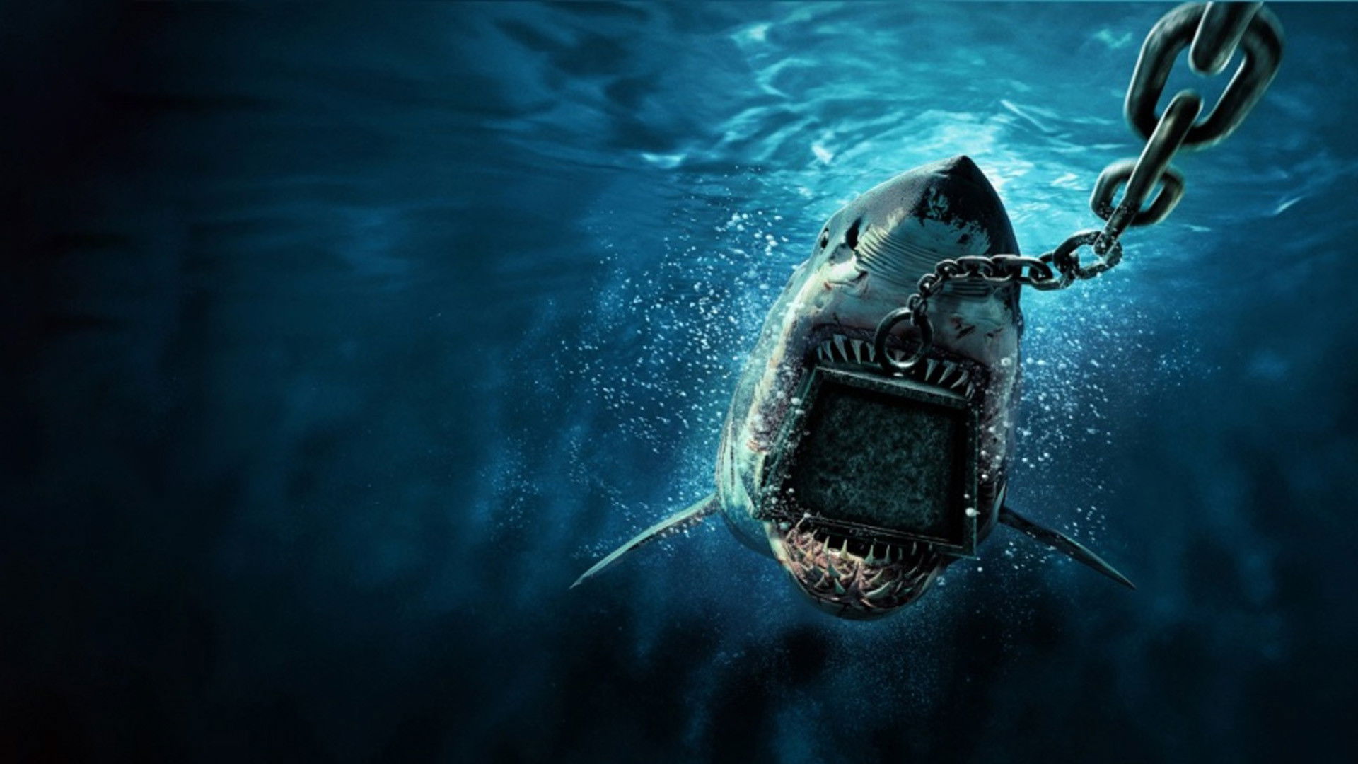 Backdrop for 6000 LB Shark