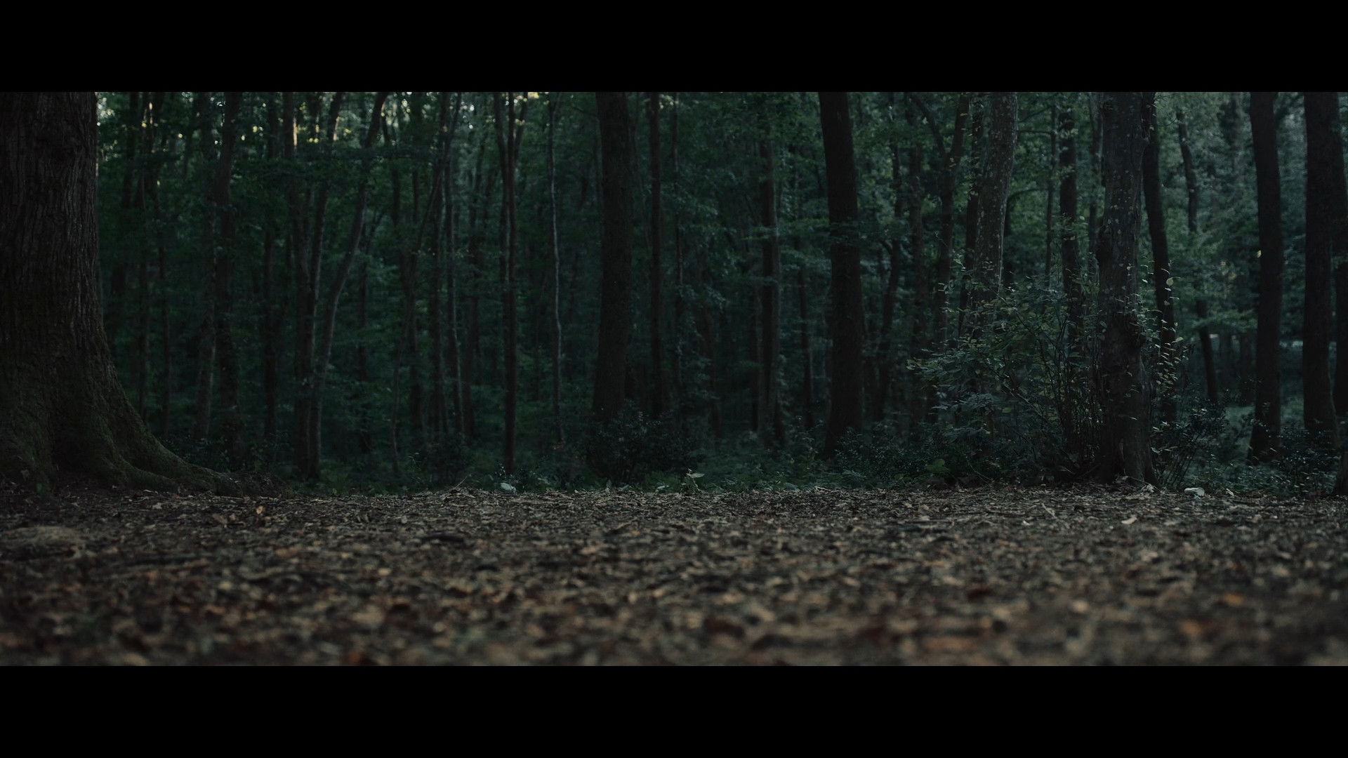 Backdrop for Truffle