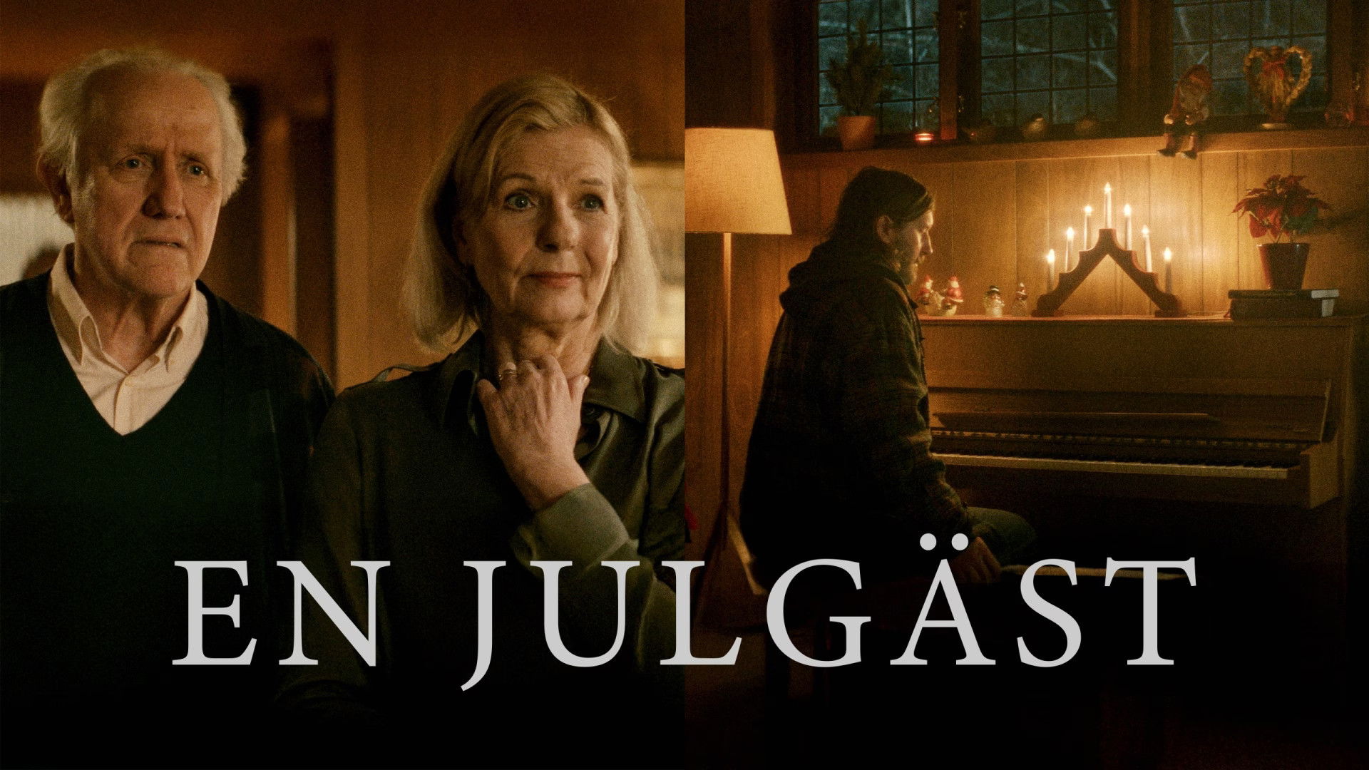 Backdrop for A Christmas Guest