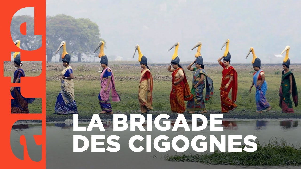 Backdrop for Inde, la brigade des cigognes