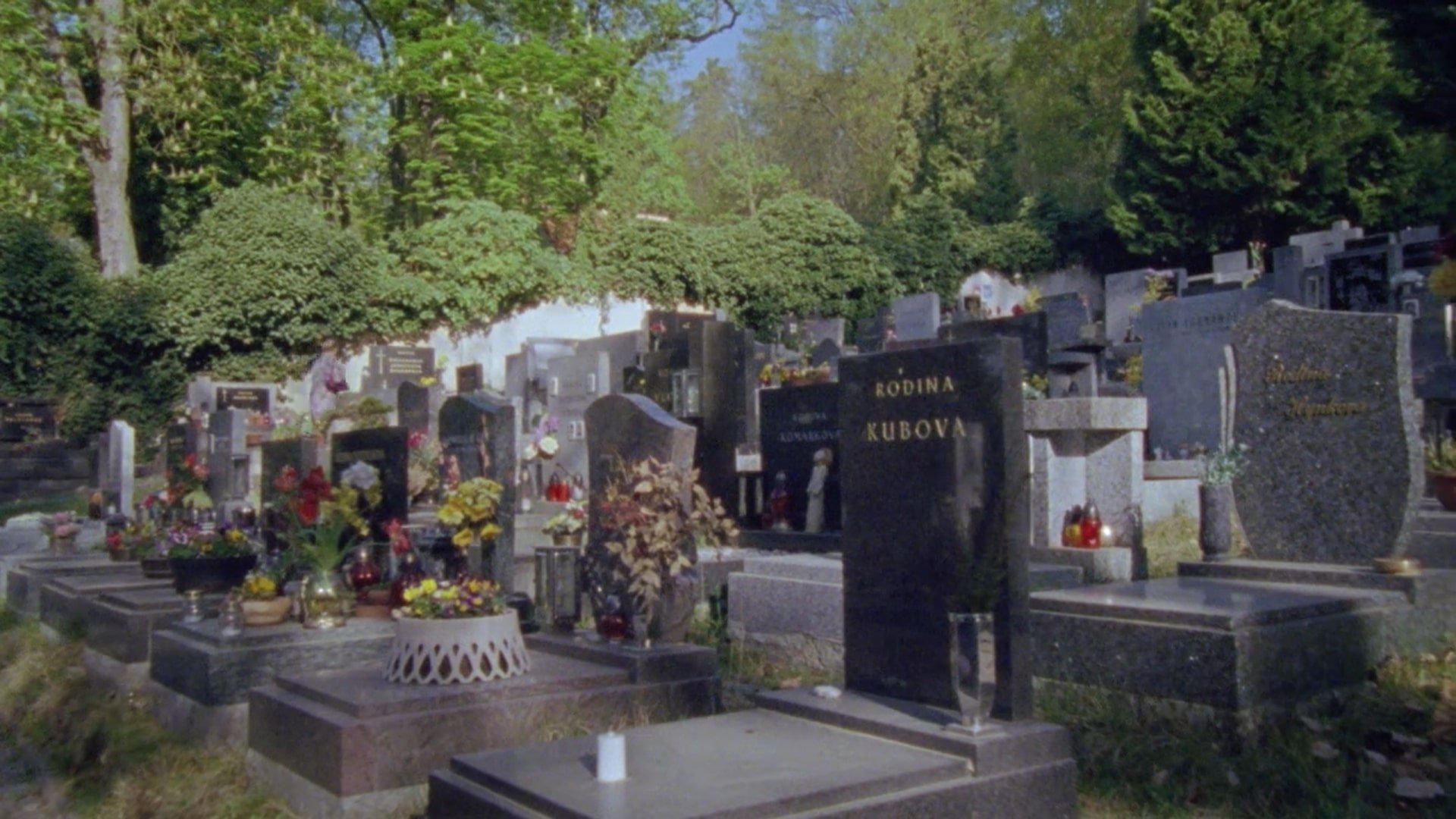 Backdrop for Come Closer