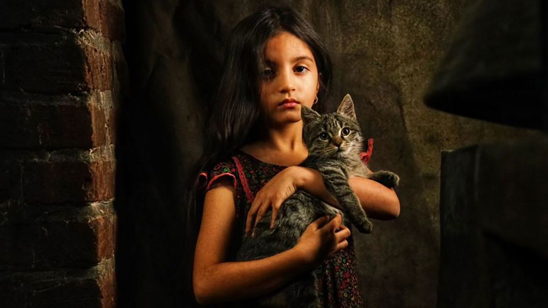 Backdrop for Summertime