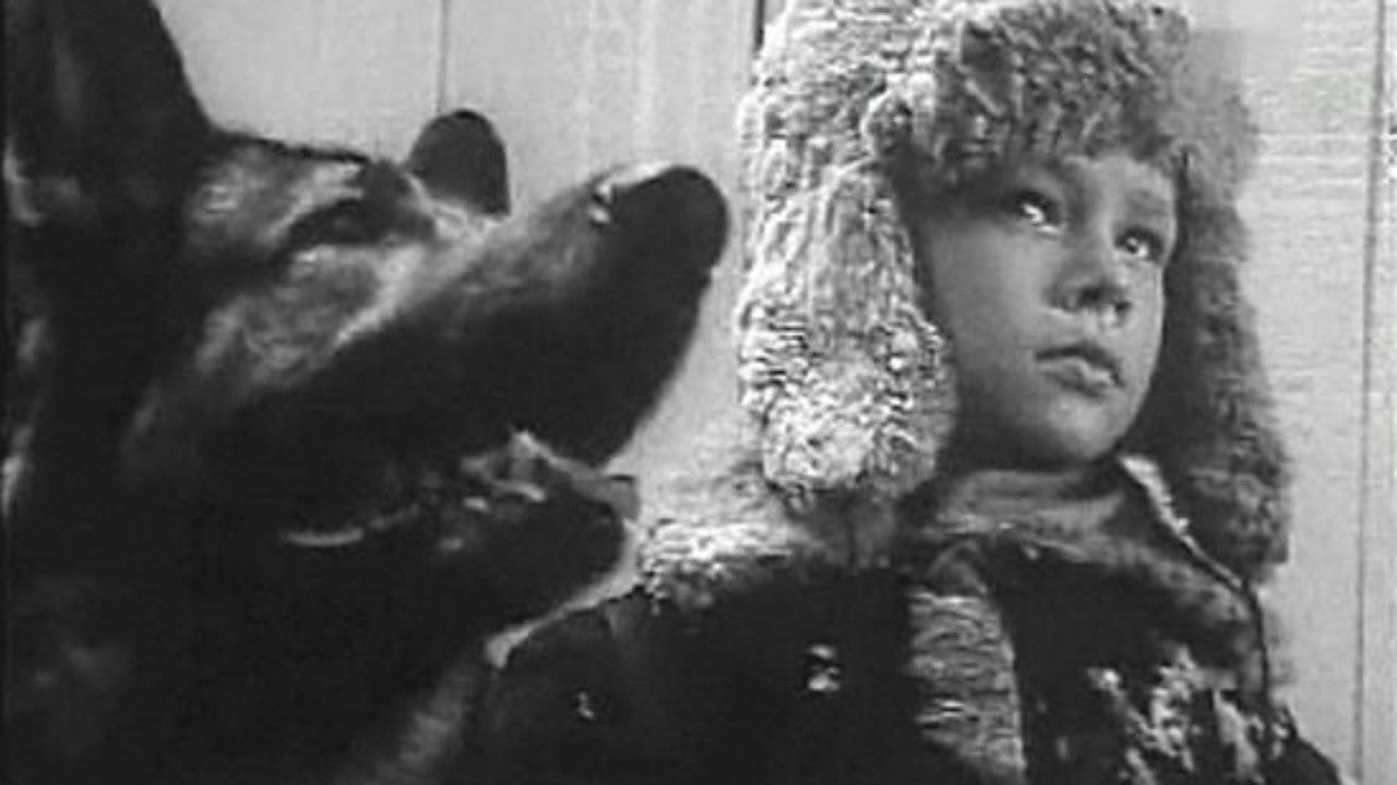 Backdrop for The Cropped Devil