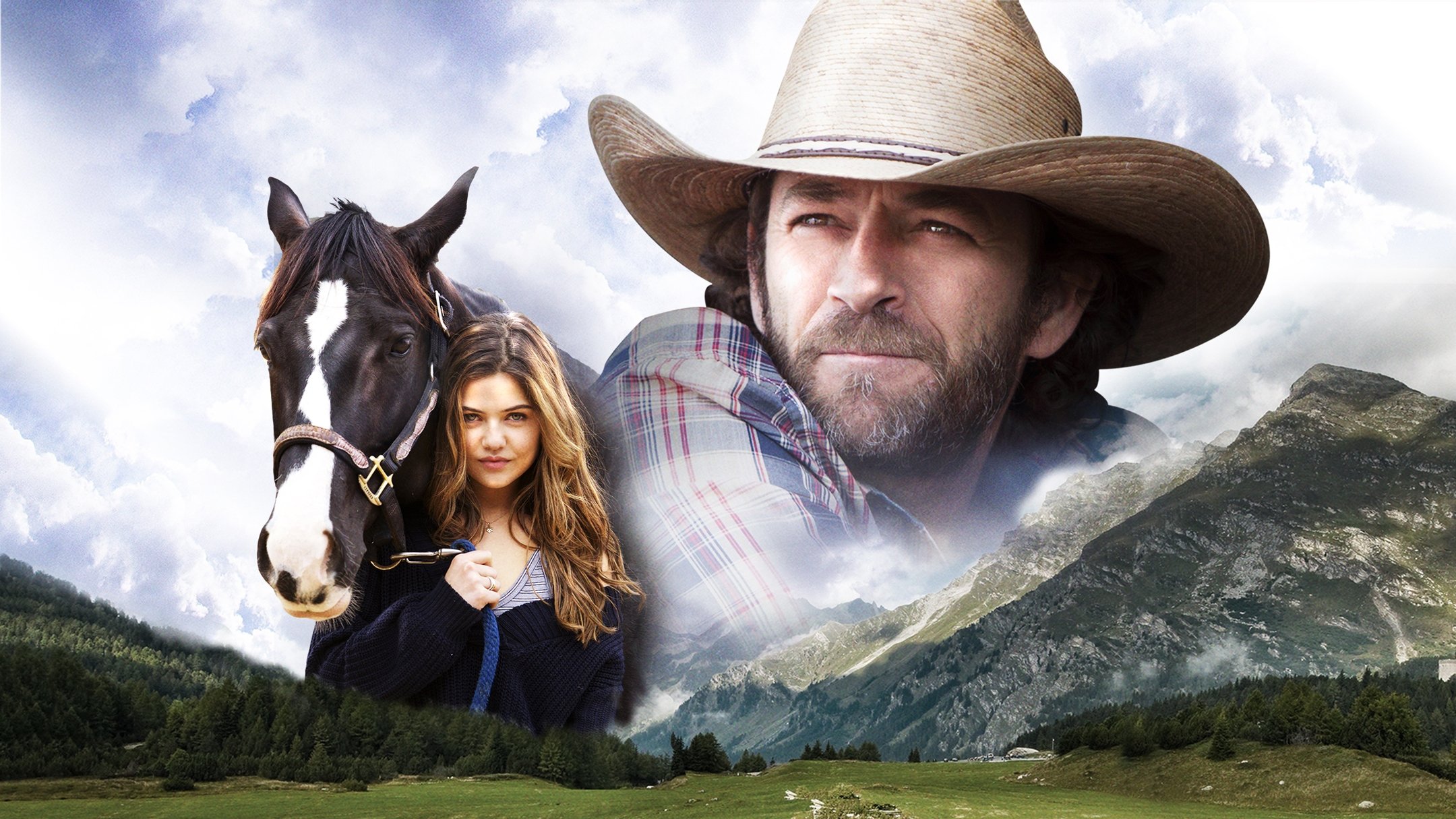 Backdrop for Race To Win