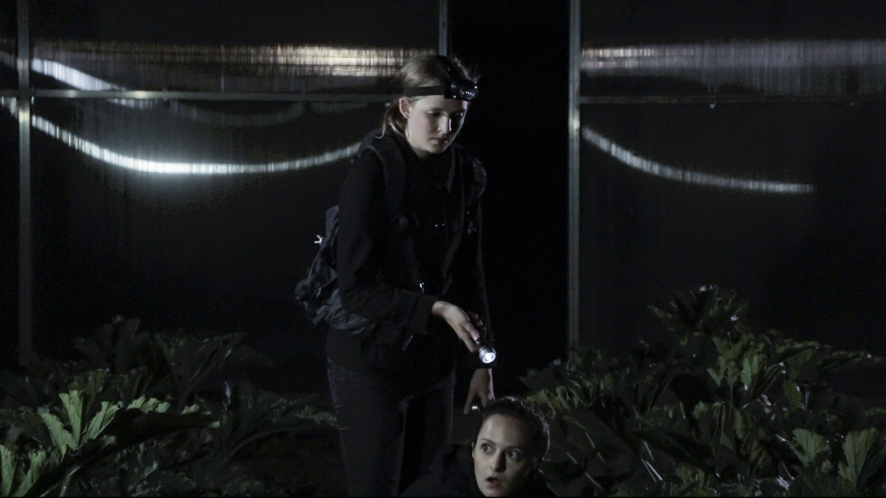 Backdrop for Winterzwiebeln im Sommer