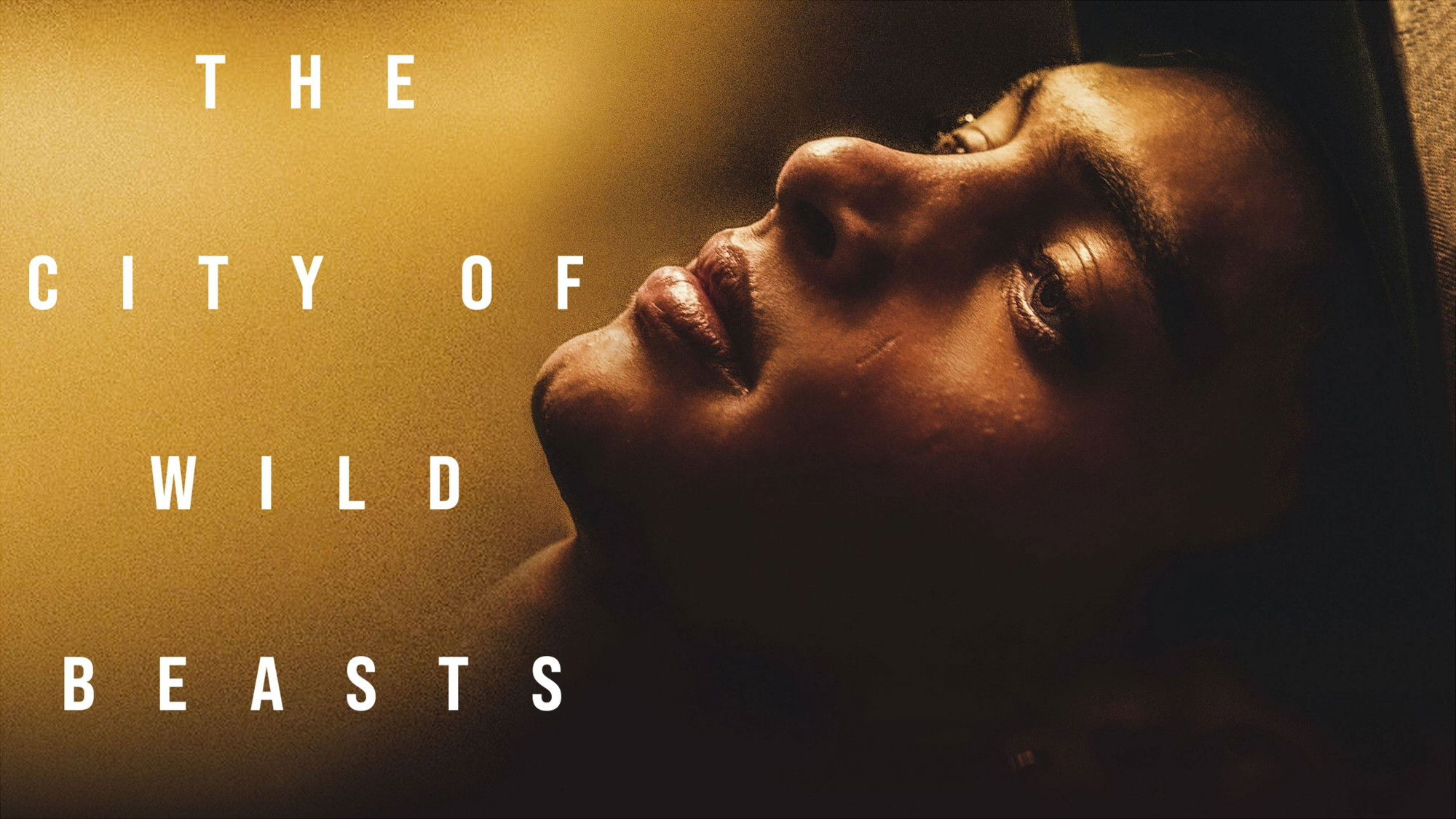 Backdrop for The City of Wild Beasts