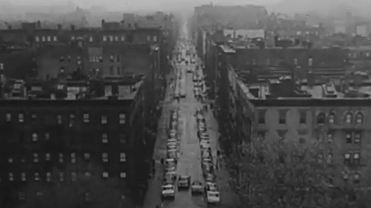 Backdrop for Blind Gary Davis