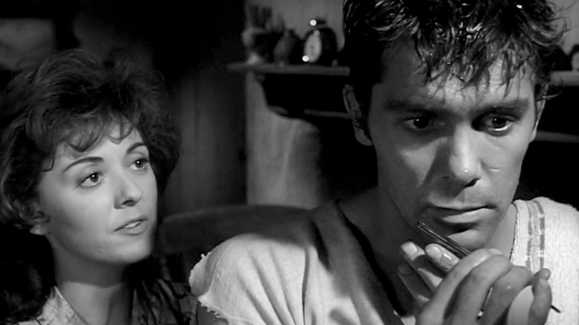 Backdrop for October Moth