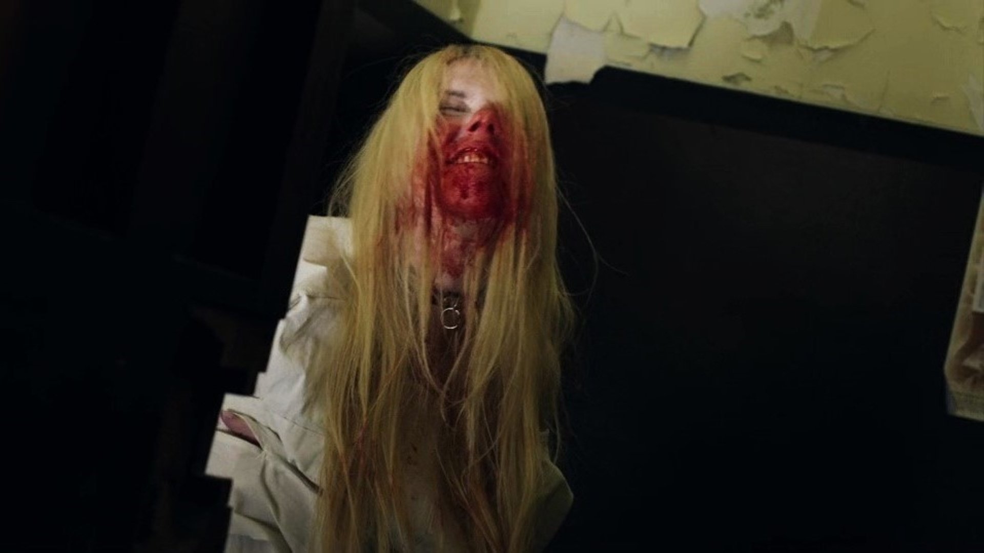 Backdrop for Vampire Virus