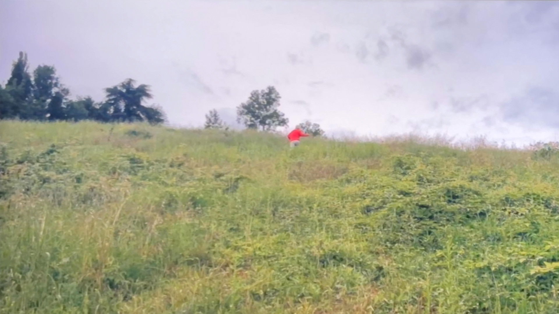 Backdrop for Camaraderie