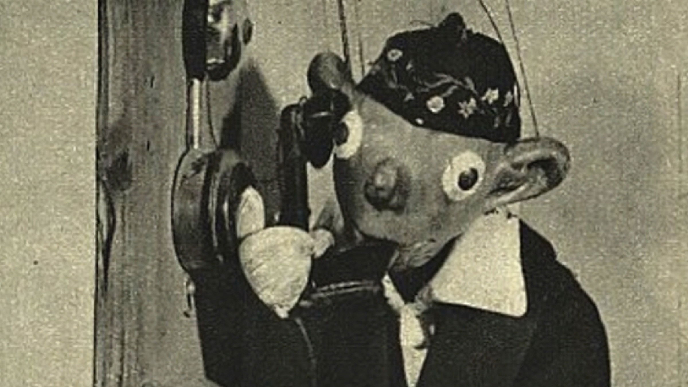 Backdrop for Speibl's cinematic intoxication