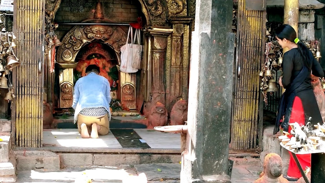 Backdrop for Hare Maile