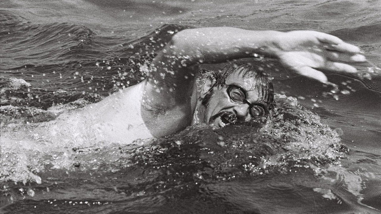 Backdrop for Veljko of the Sea