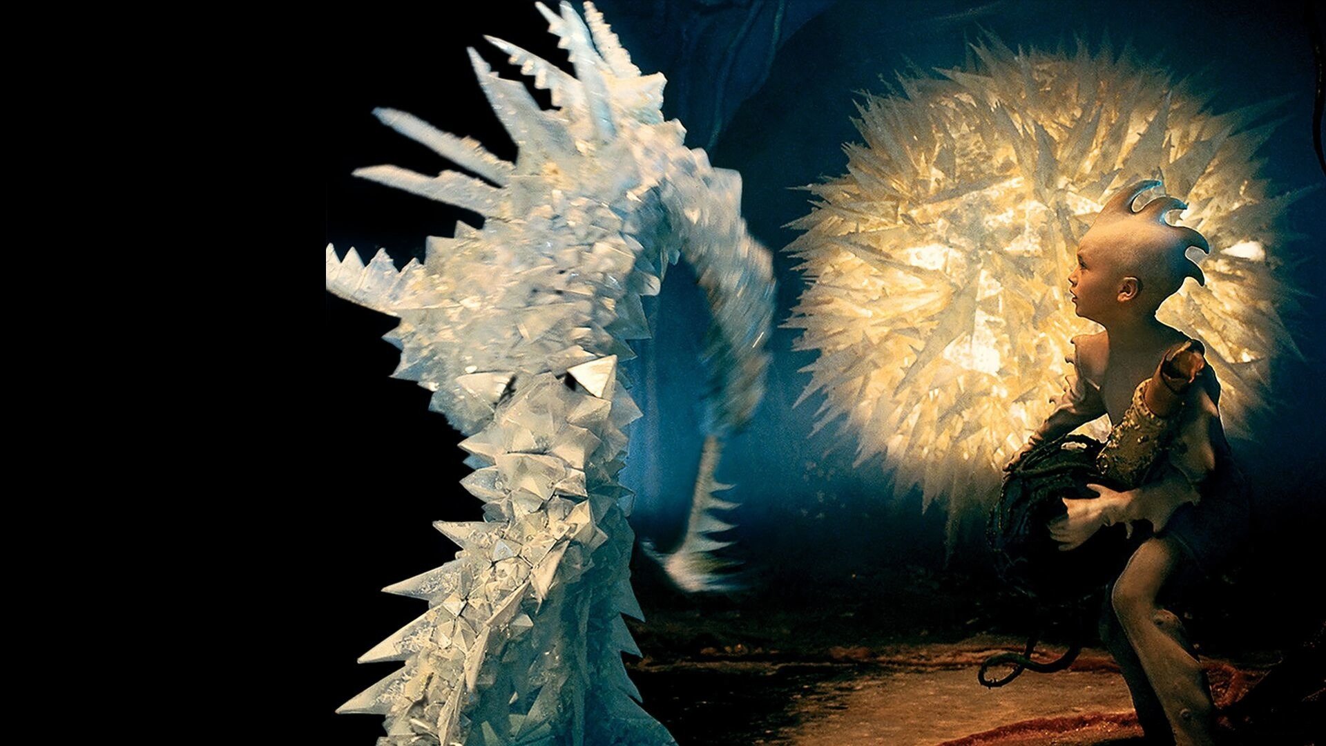 Backdrop for Chasing the Kidneystone