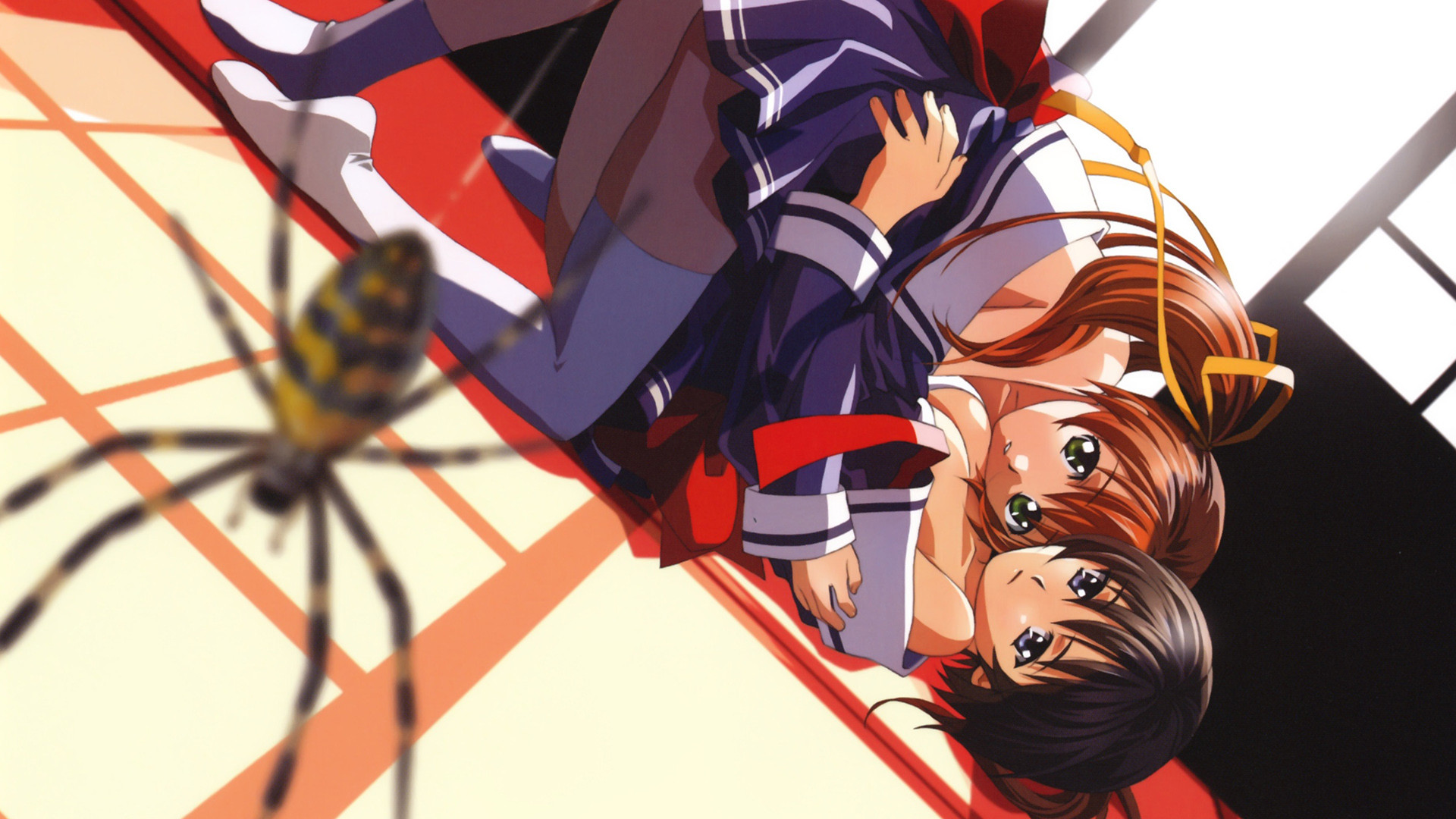 Backdrop for Immoral Sisters