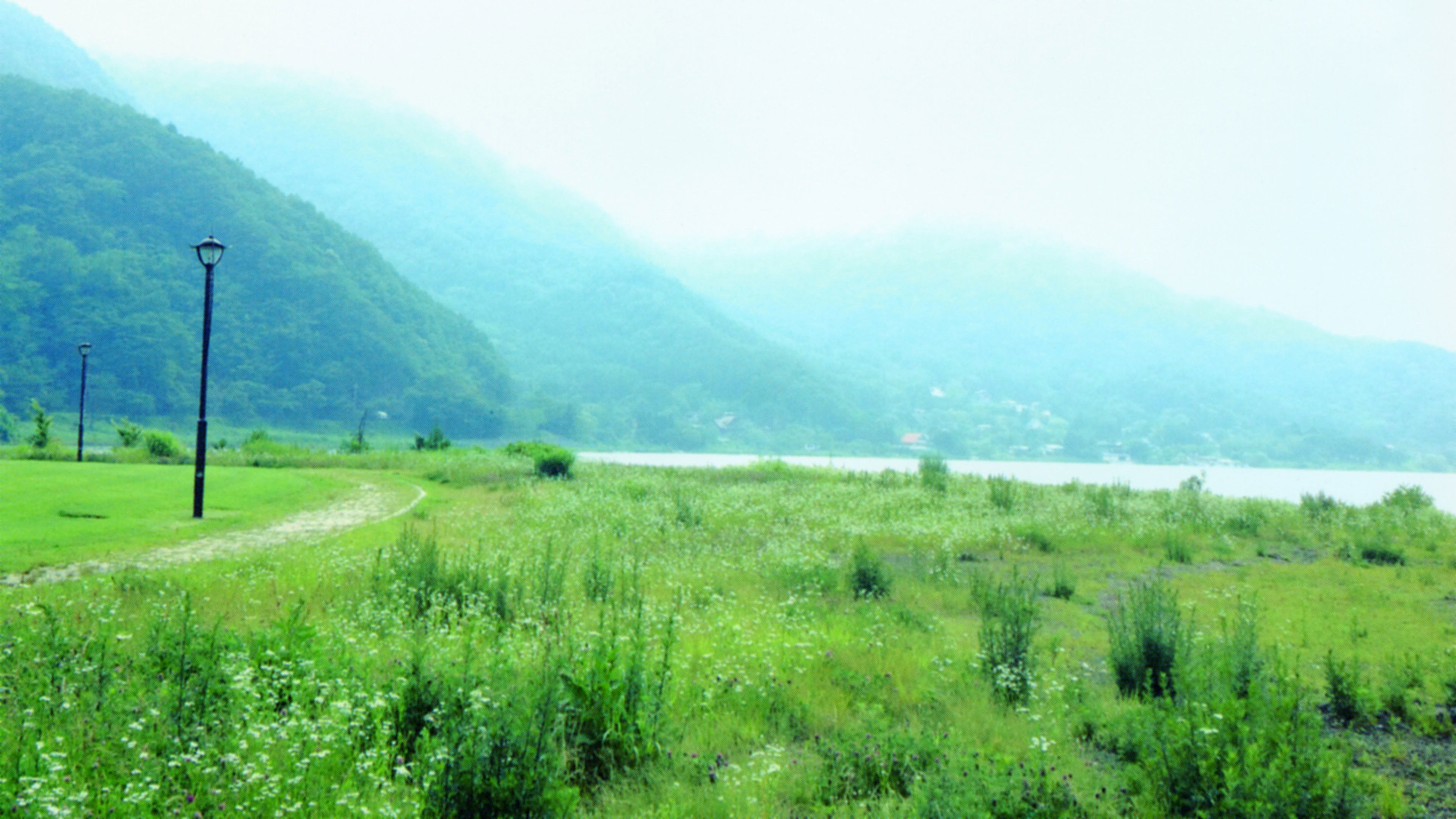 Backdrop for Morning Musume.'14 Michishige Sayumi Sotsugyou Memorial