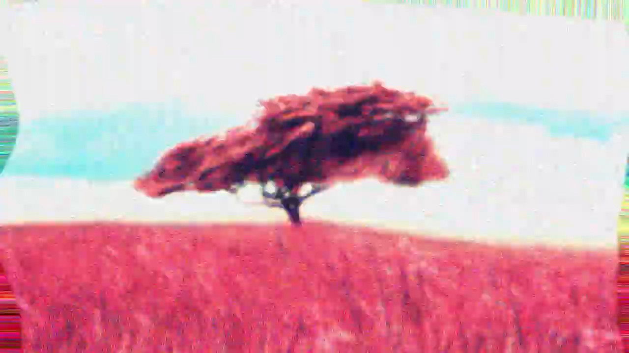 Backdrop for -pursuit4.teaser.