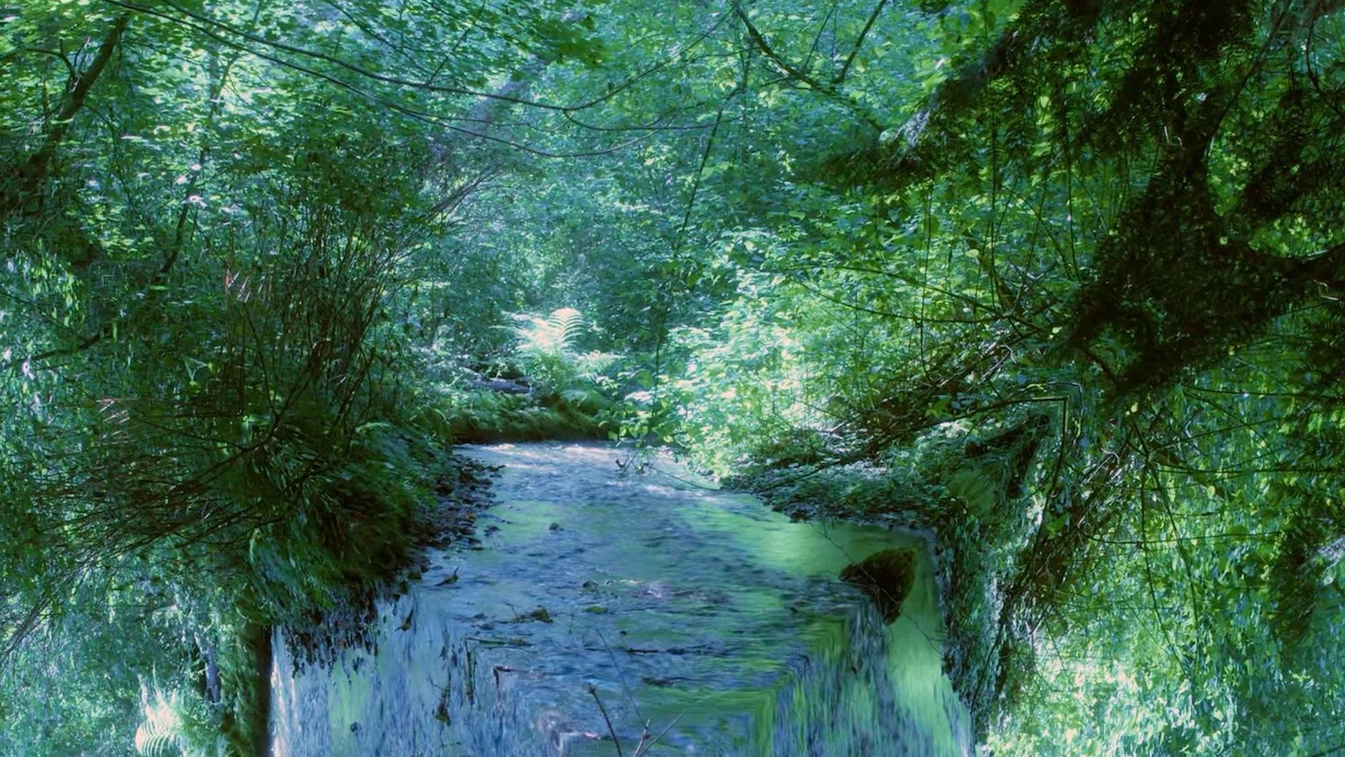 Backdrop for I Watched Her Grow