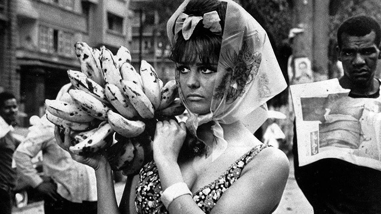 Backdrop for A Rose for Everyone