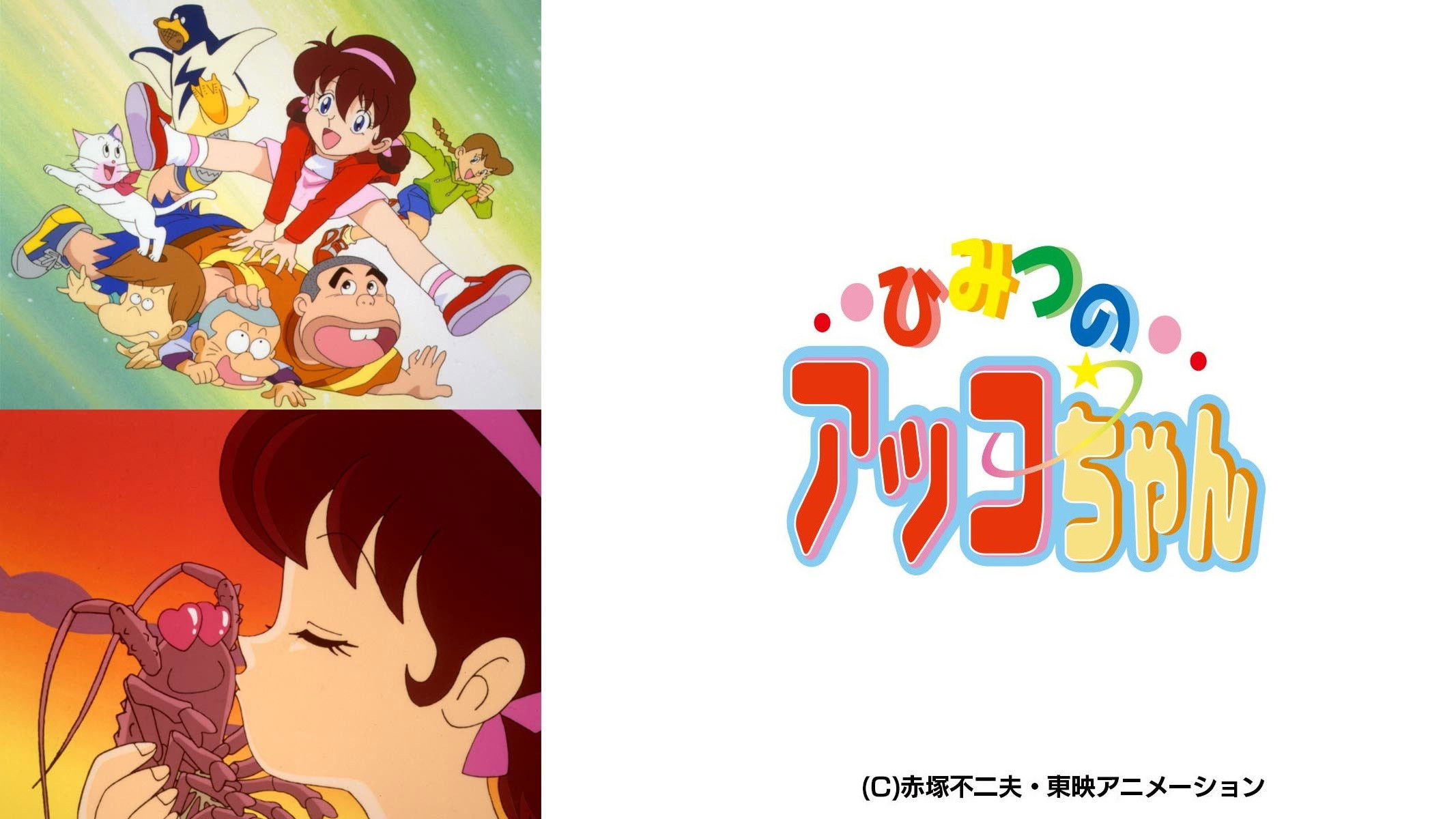 Backdrop for Akko-chan's Secret 3rd Term