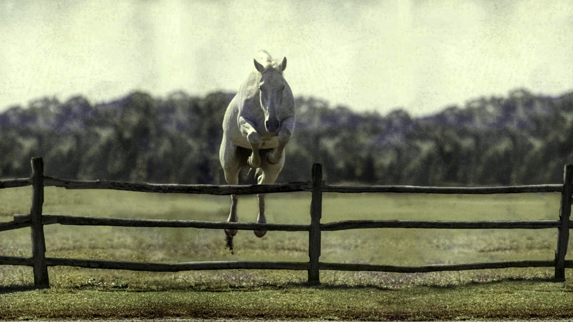 Backdrop for Harry & Snowman