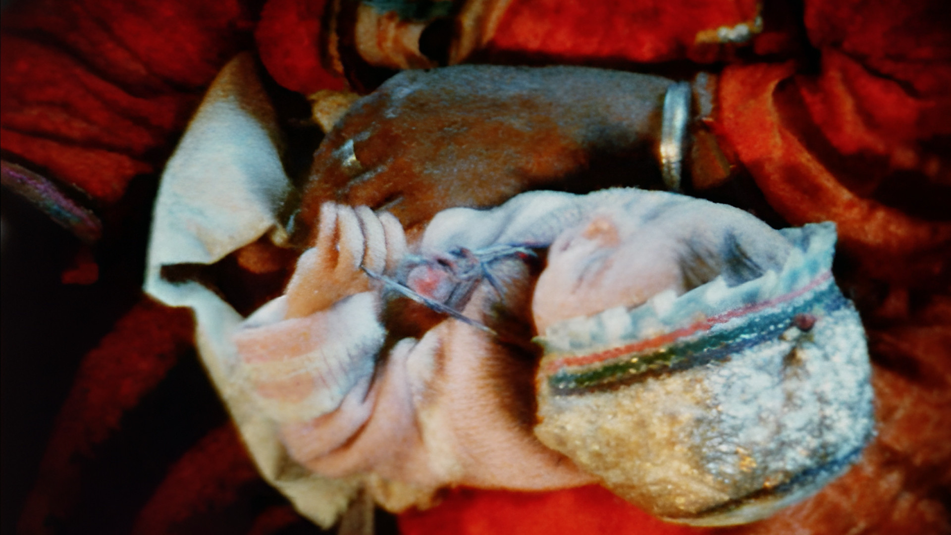 Backdrop for Pour Que Ses Jours Fleurissent