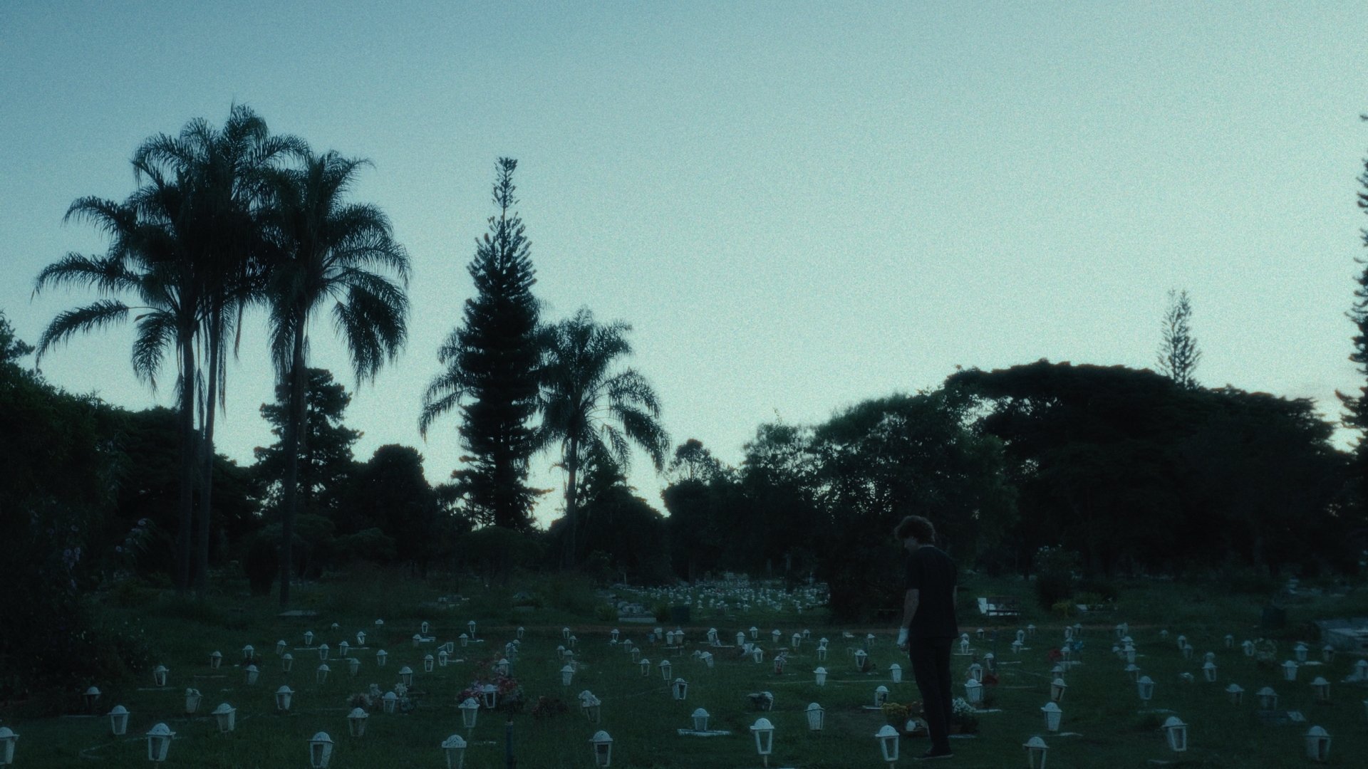 Backdrop for Lágrimas Holandesas