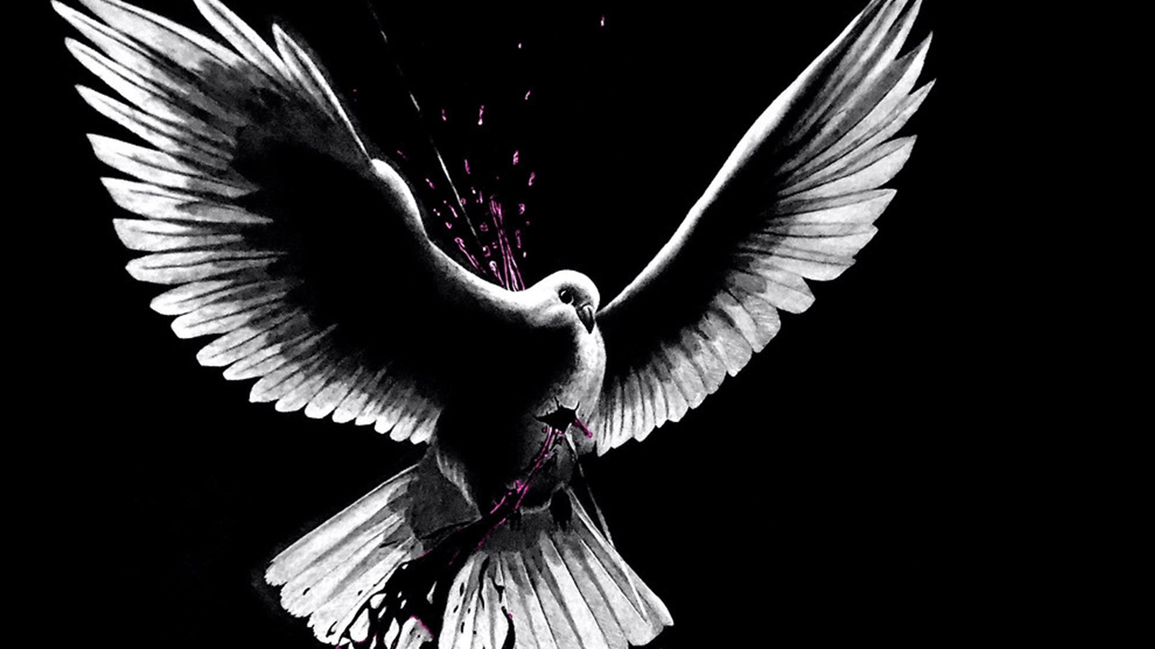 Backdrop for Love Point Blank