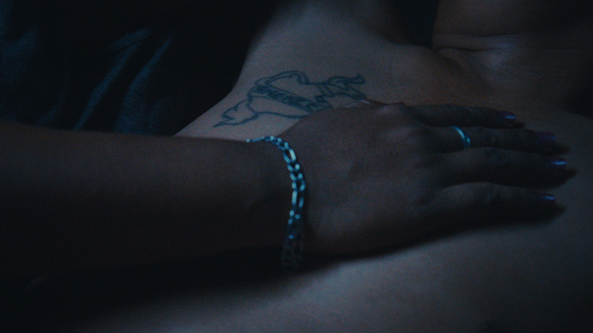 Backdrop for Someday the night will come