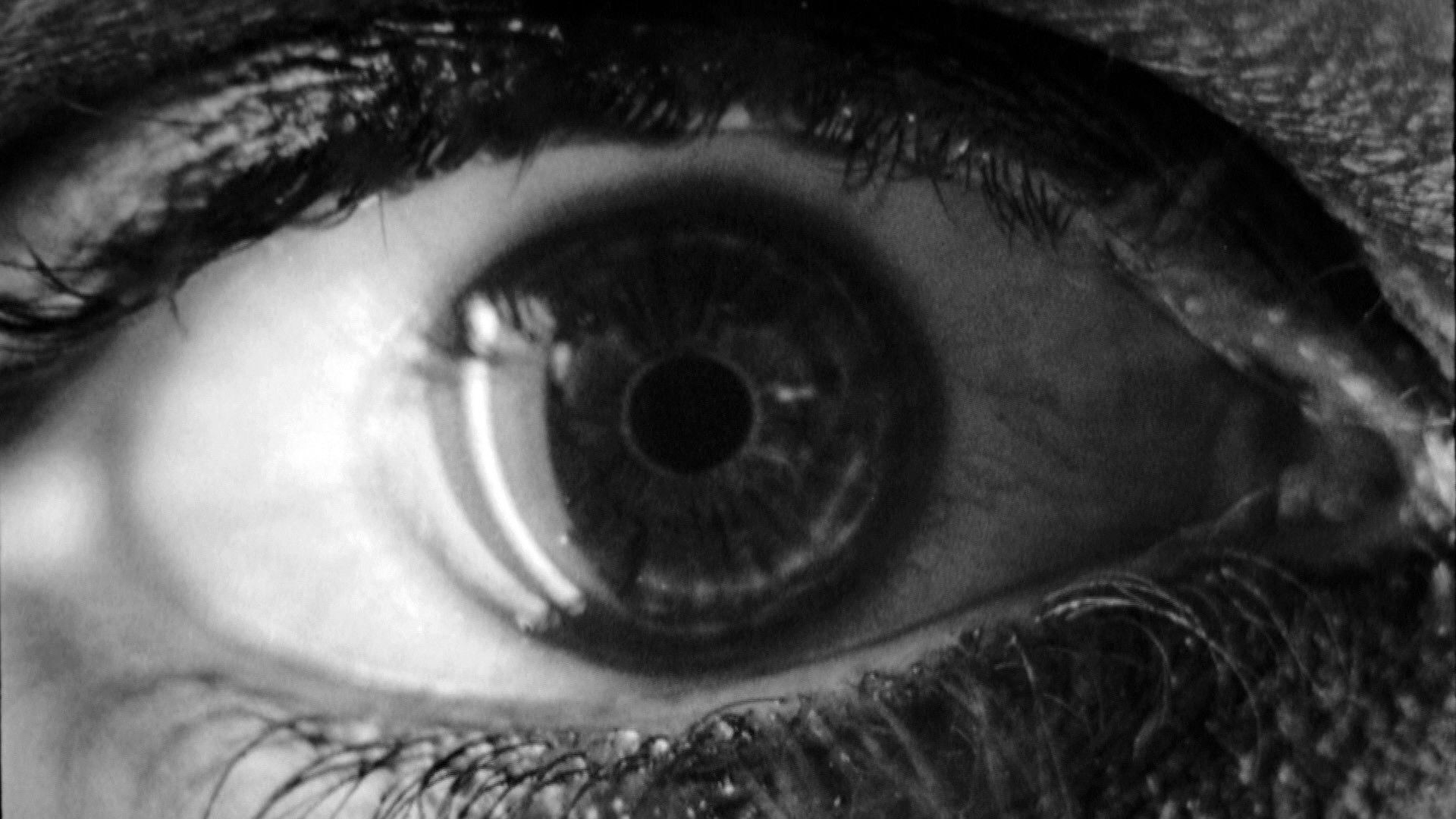 Backdrop for Voyage to 'Metropolis'