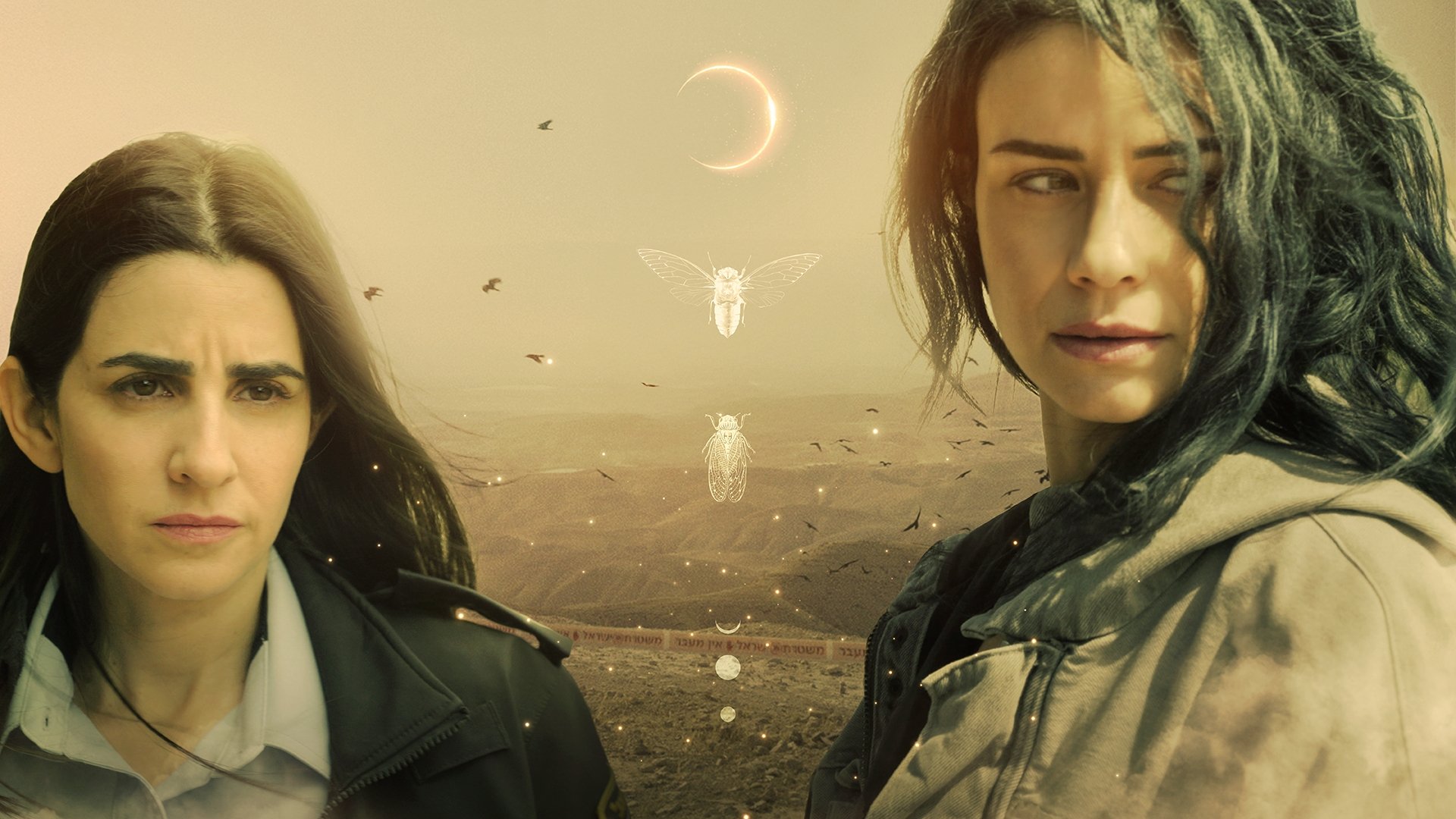 Backdrop for Fireflies