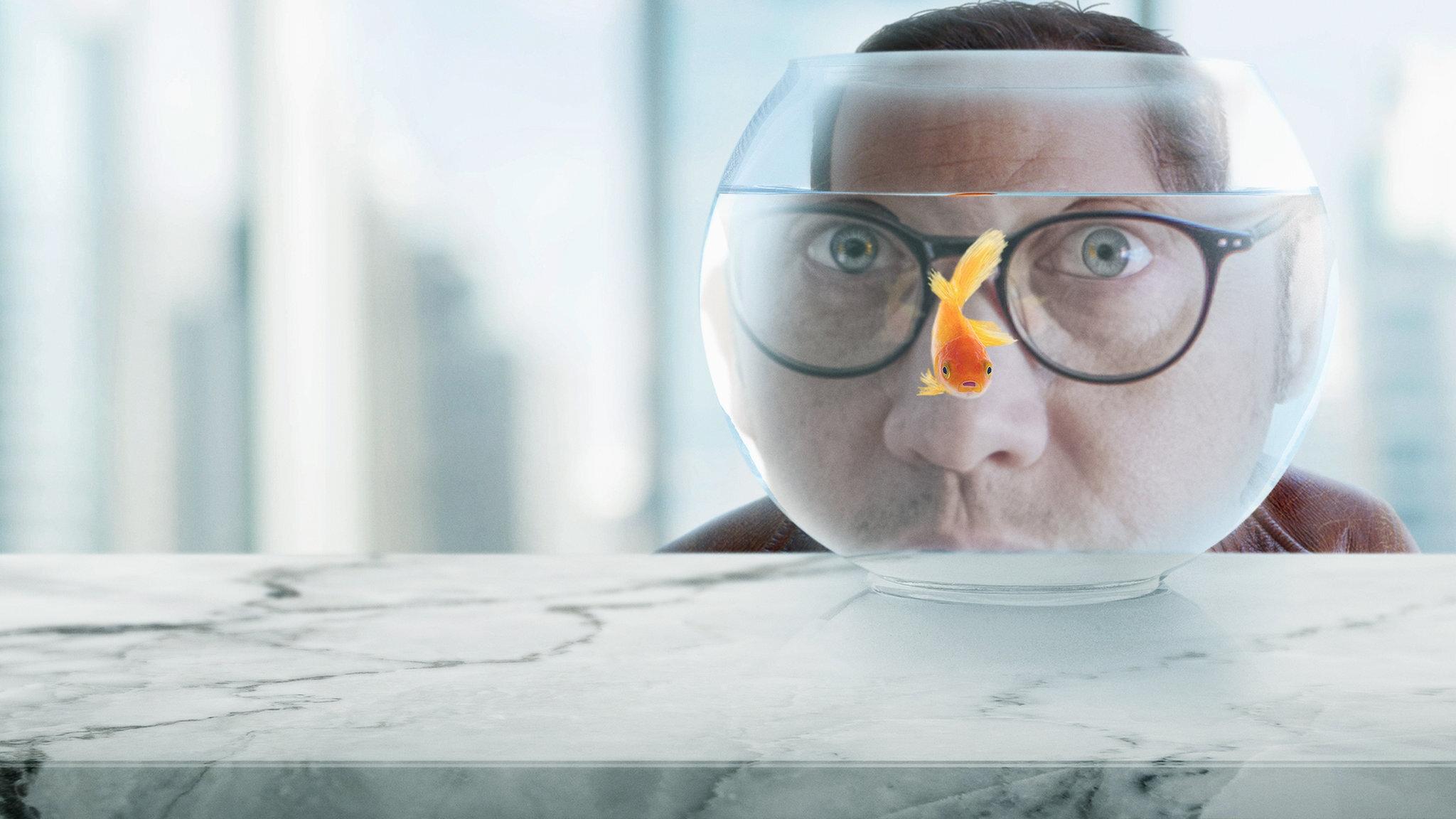 Backdrop for Real Rob