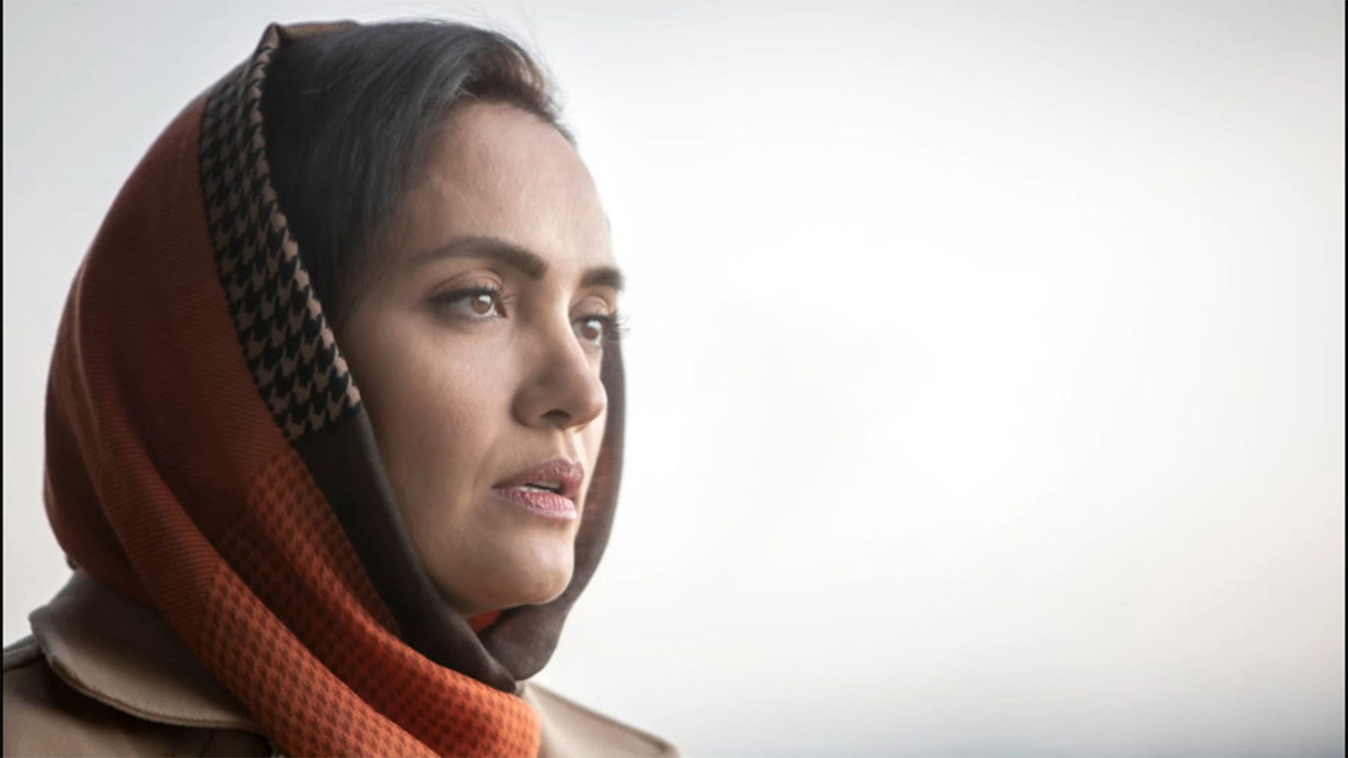 Backdrop for Column 14