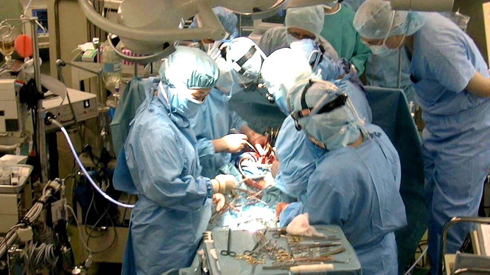 Backdrop for Der Streit um den Hirntod – Organspende auf dem Prüfstand