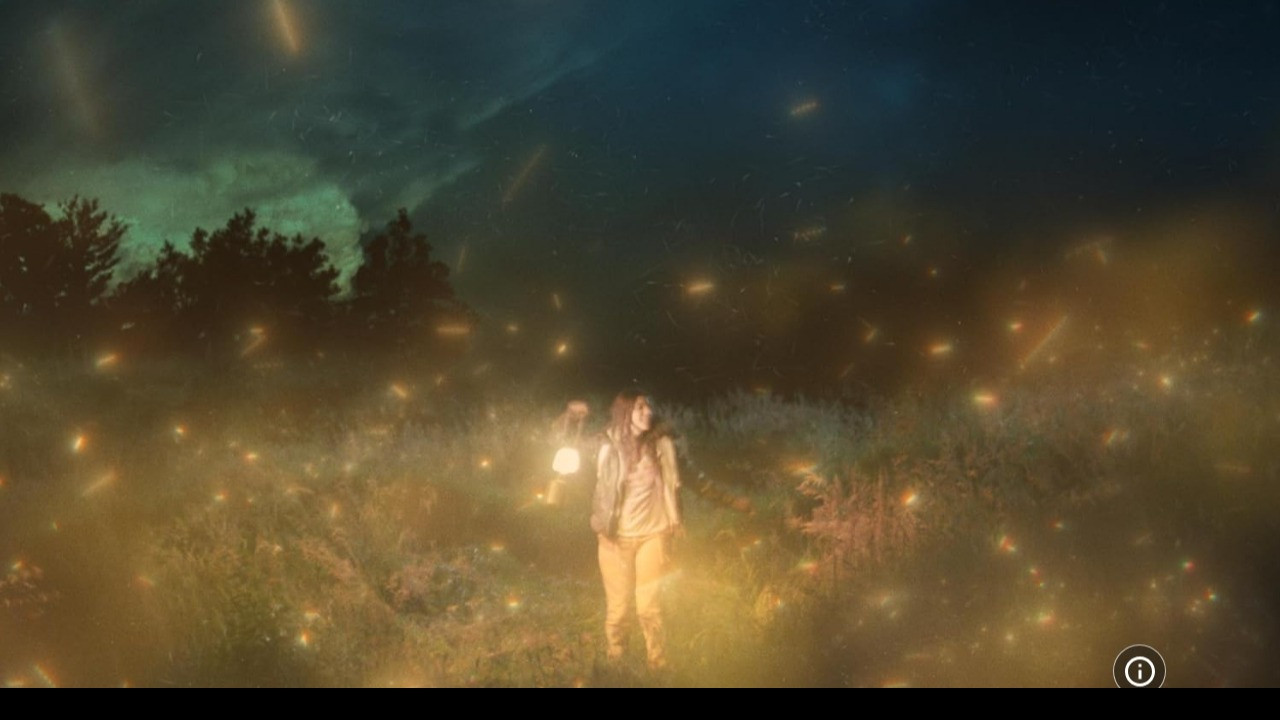 Backdrop for The Girl, The Hunter, & The Firefly