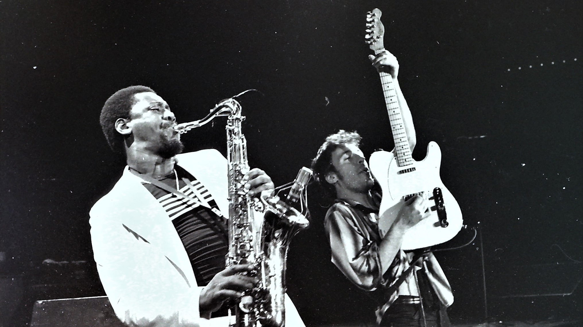 Backdrop for Bruce Springsteen & the E Street Band Houston '78 Bootleg: House Cut