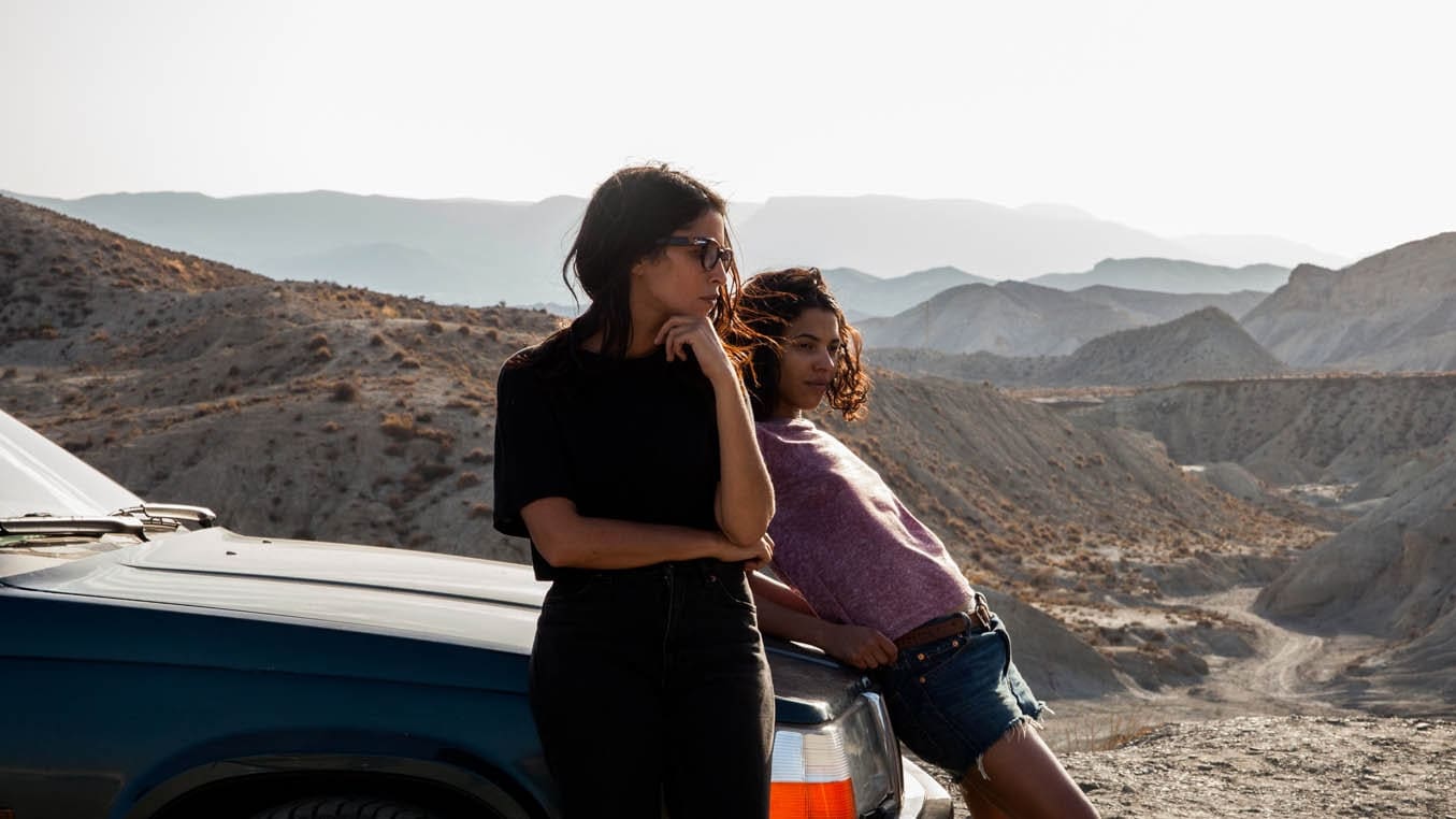 Backdrop for Carnivores