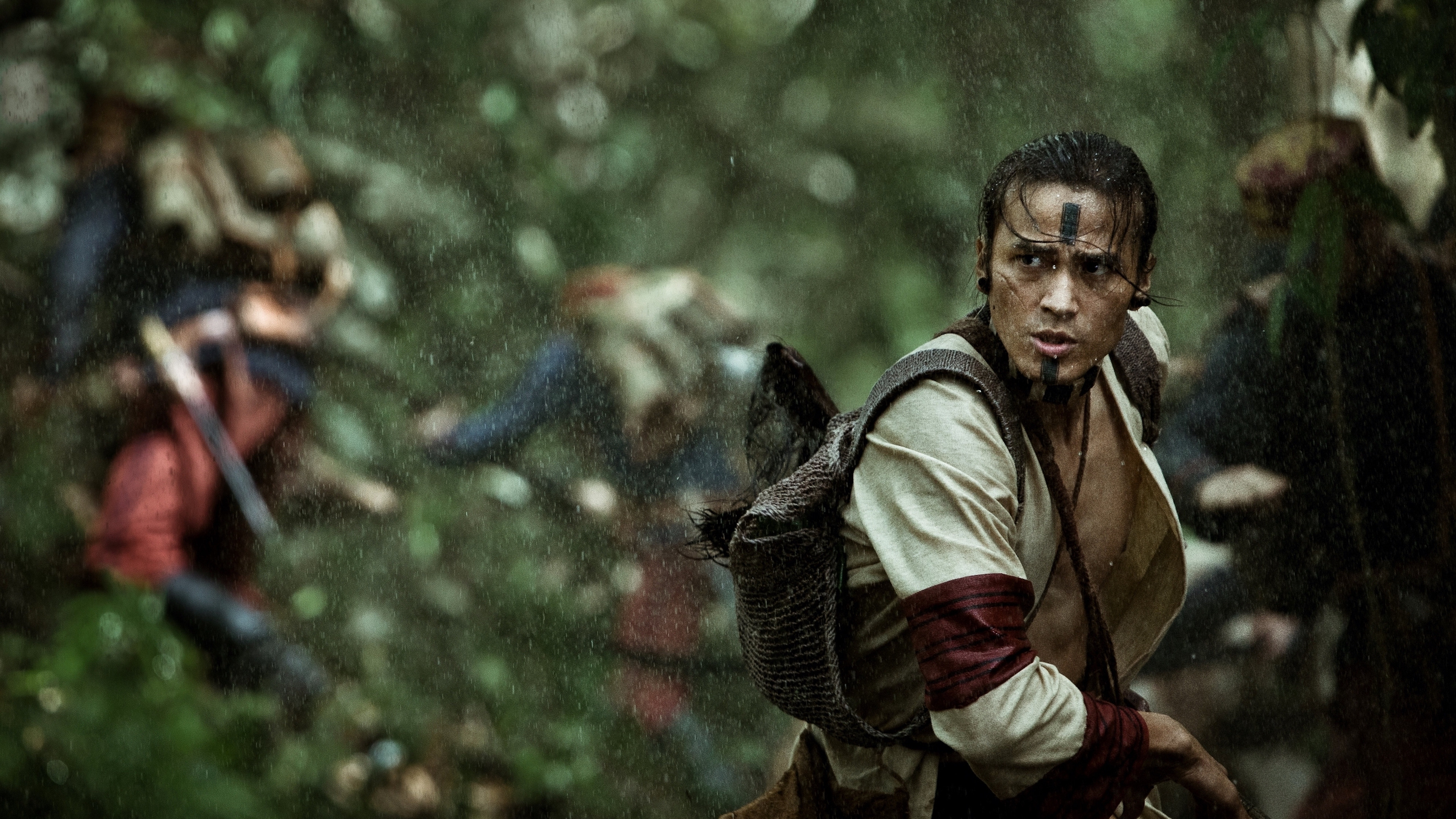 Backdrop for Warriors of the Rainbow: Seediq Bale