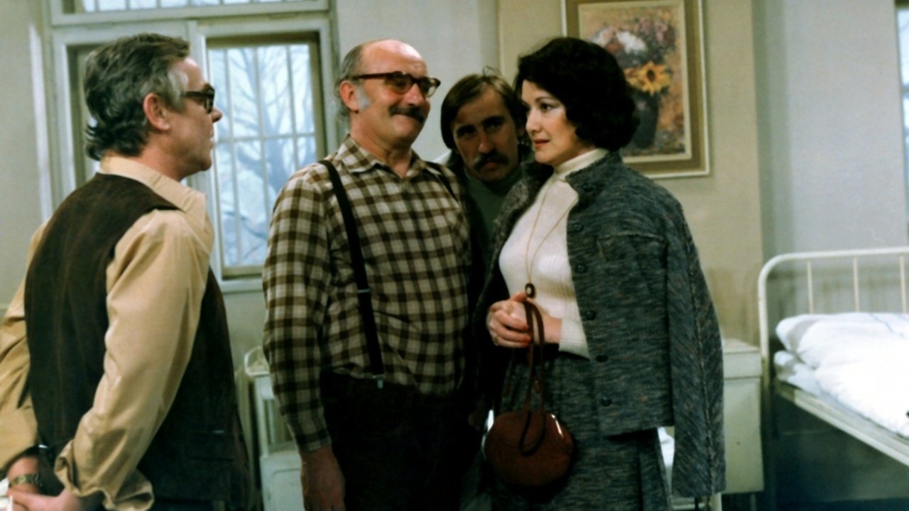 Backdrop for Tažní ptáci