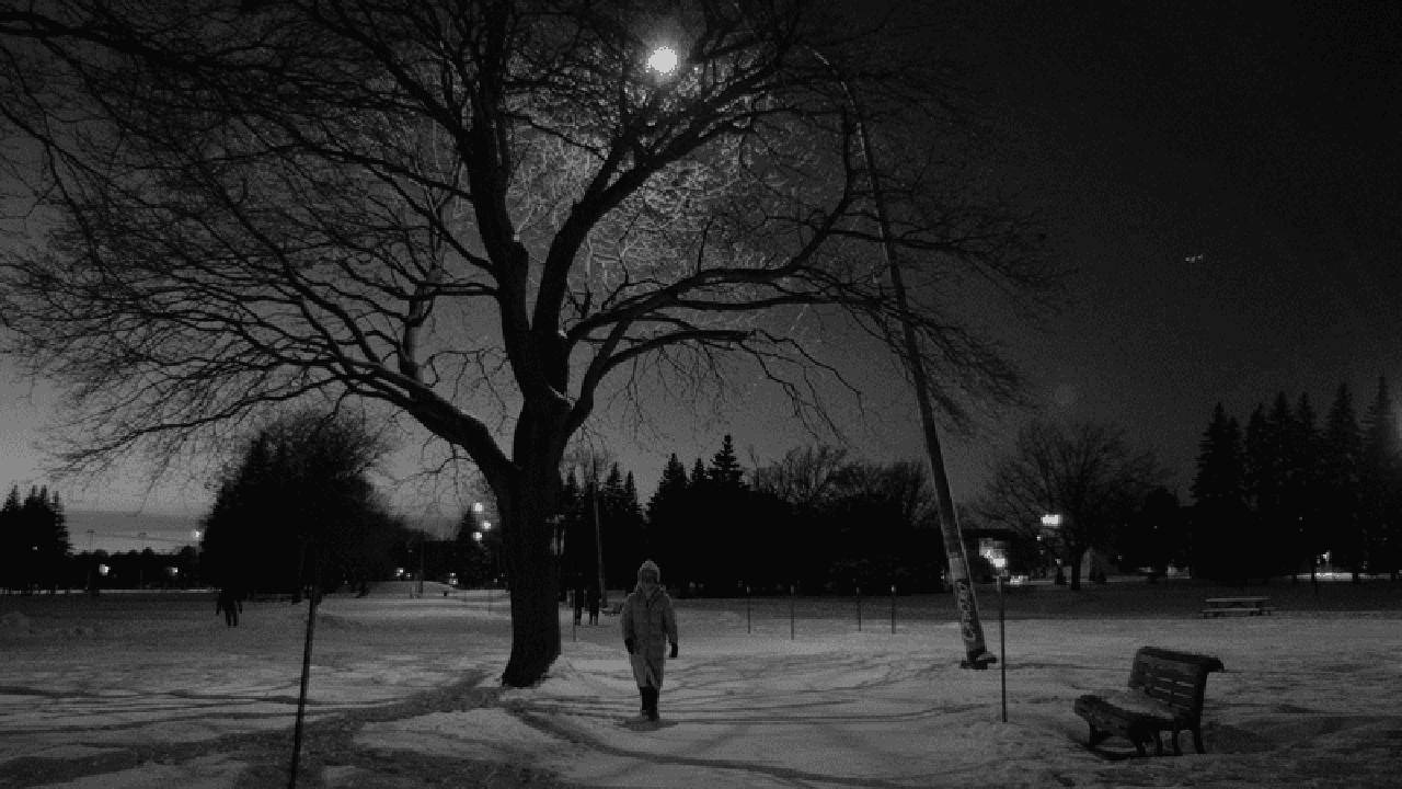 Backdrop for Snowflakes at the End of the World