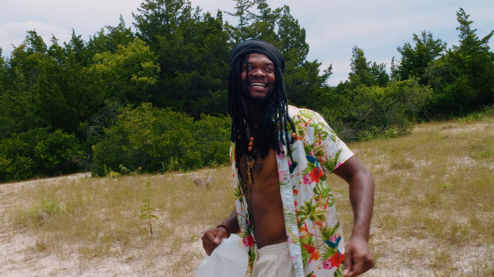 Backdrop for The Have Not