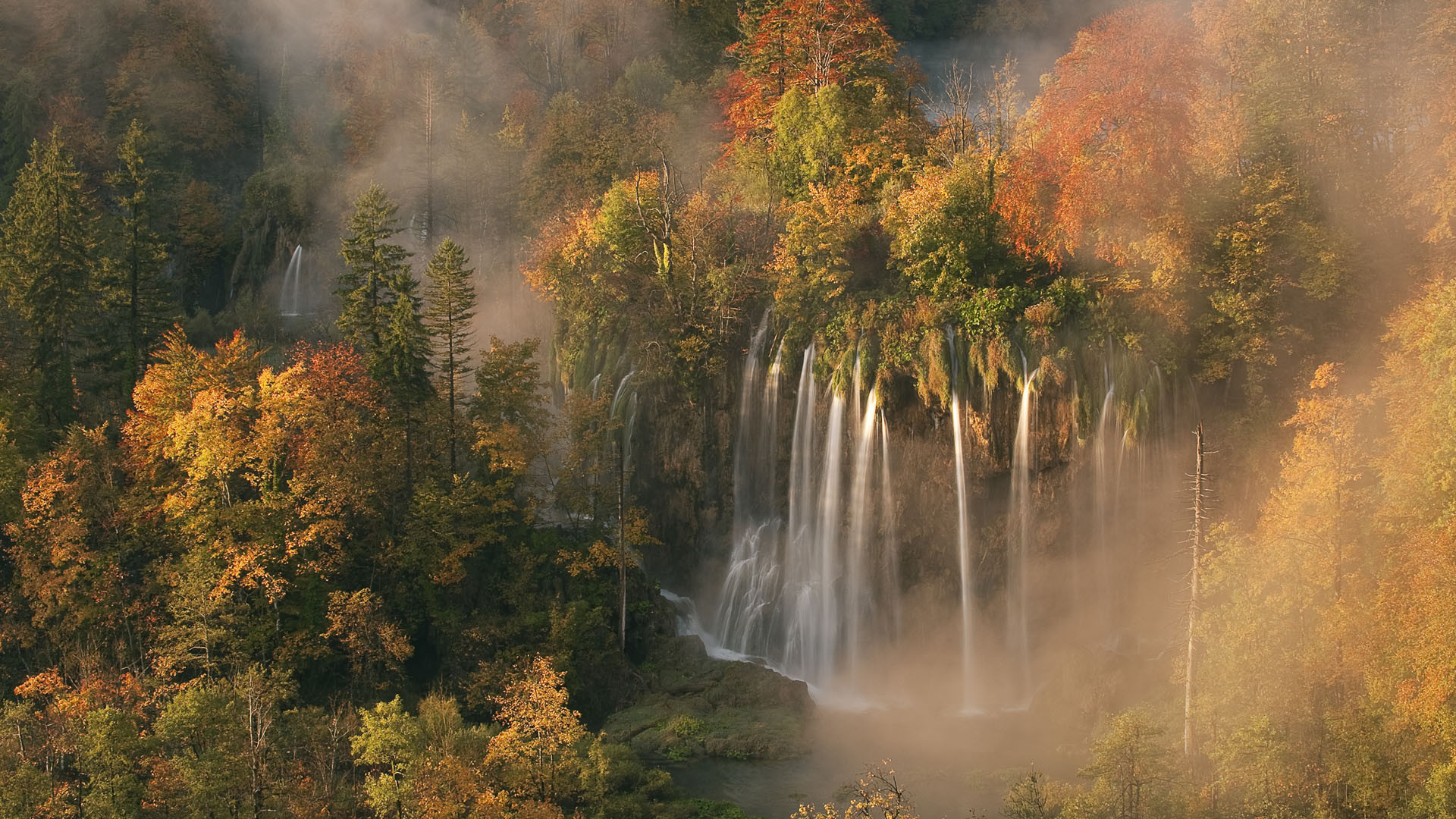 Backdrop for Wild Europe