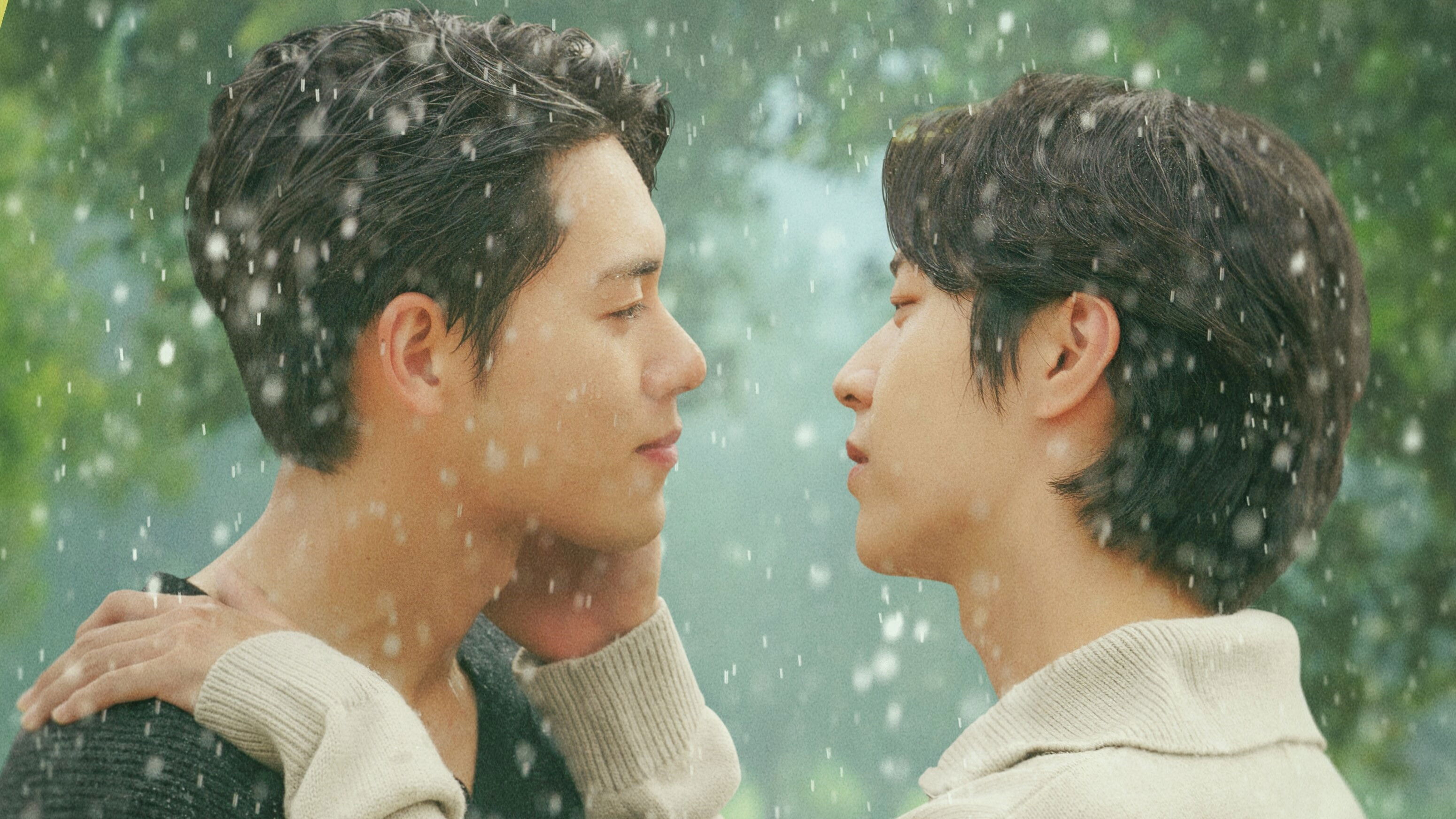 Backdrop for Individual Circumstances