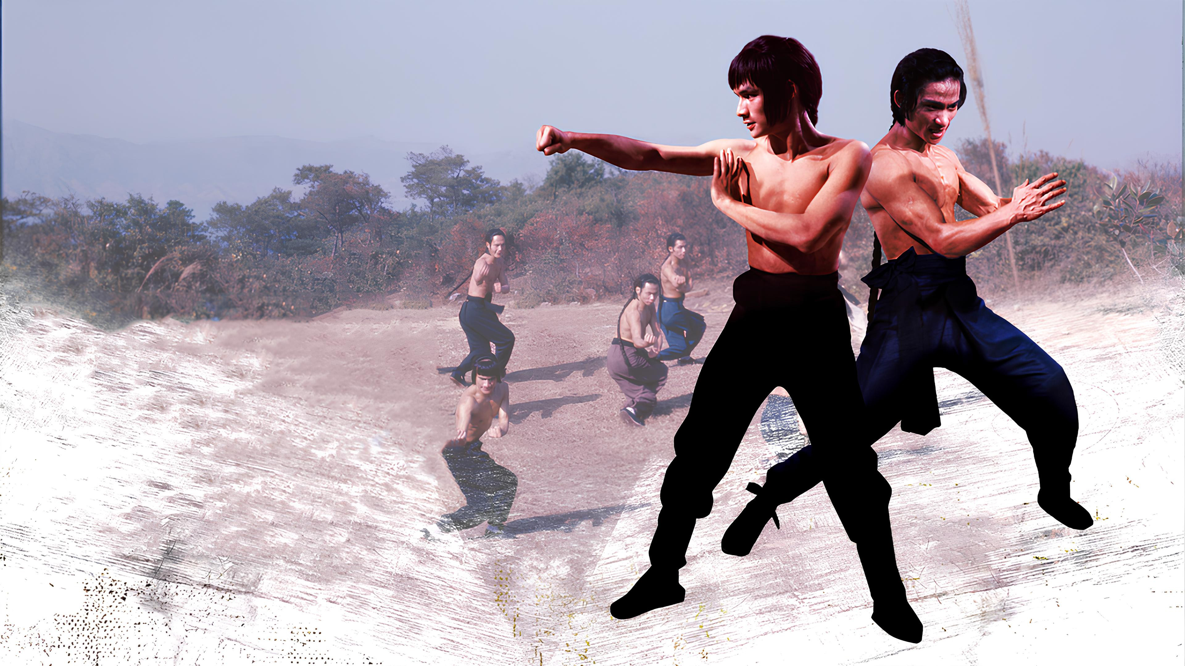 Backdrop for Shaolin Martial Arts