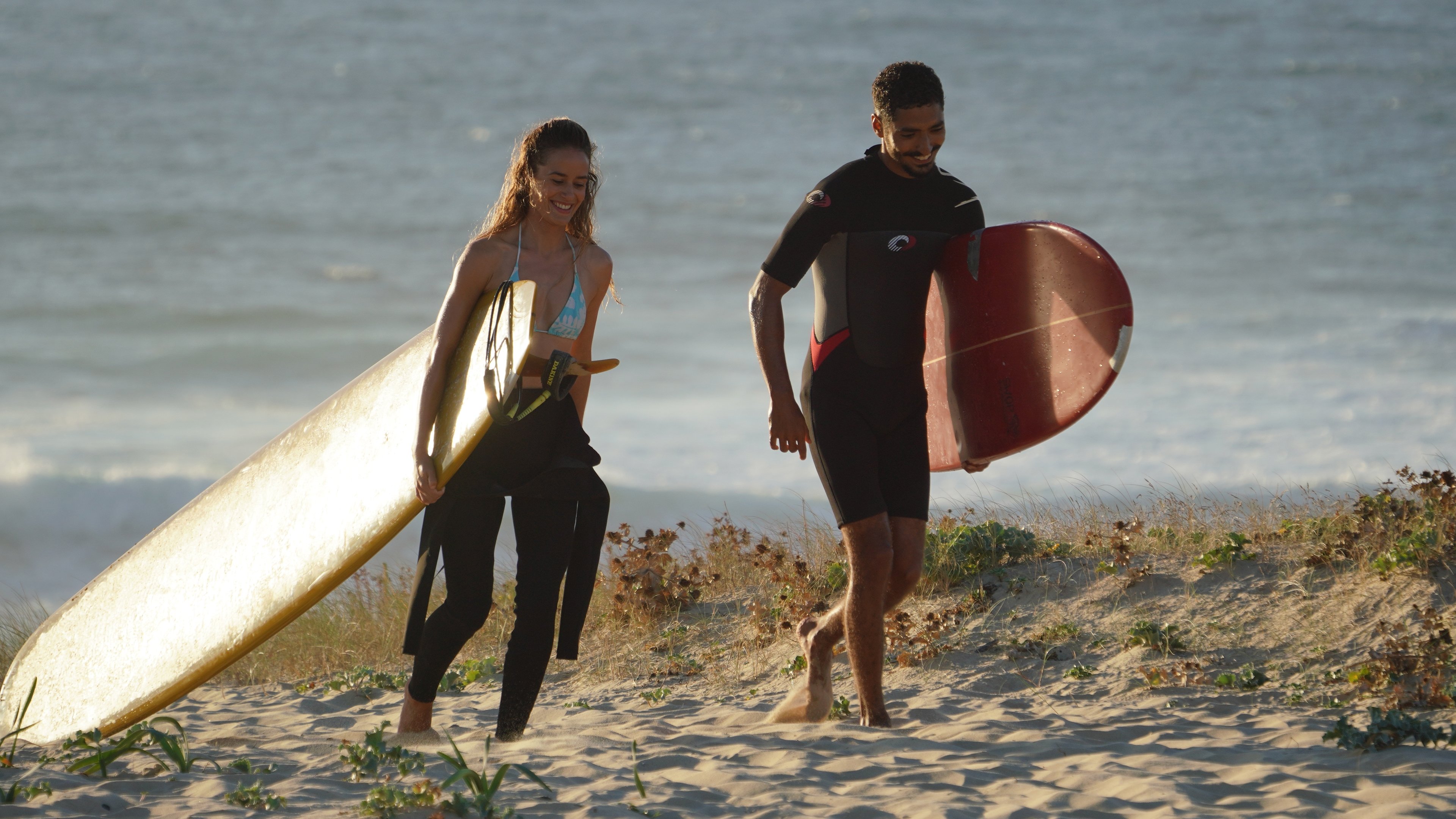 Backdrop for Wipe Out